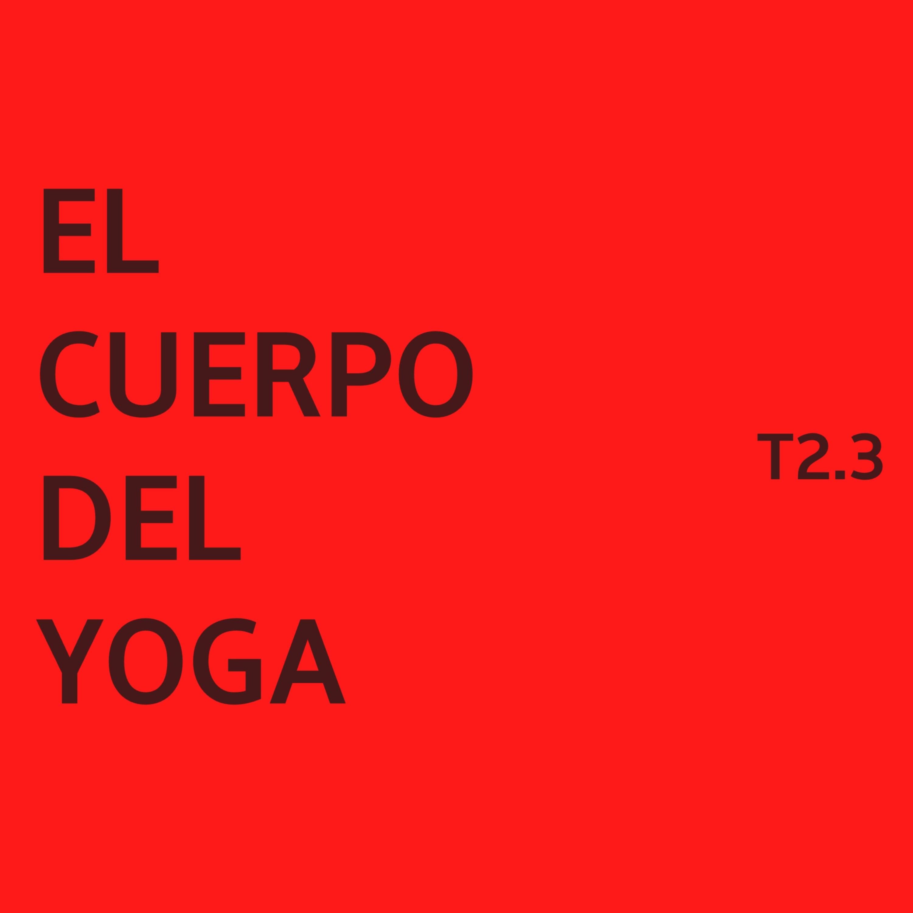 2.3.- El Cuerpo del Yoga episode artwork