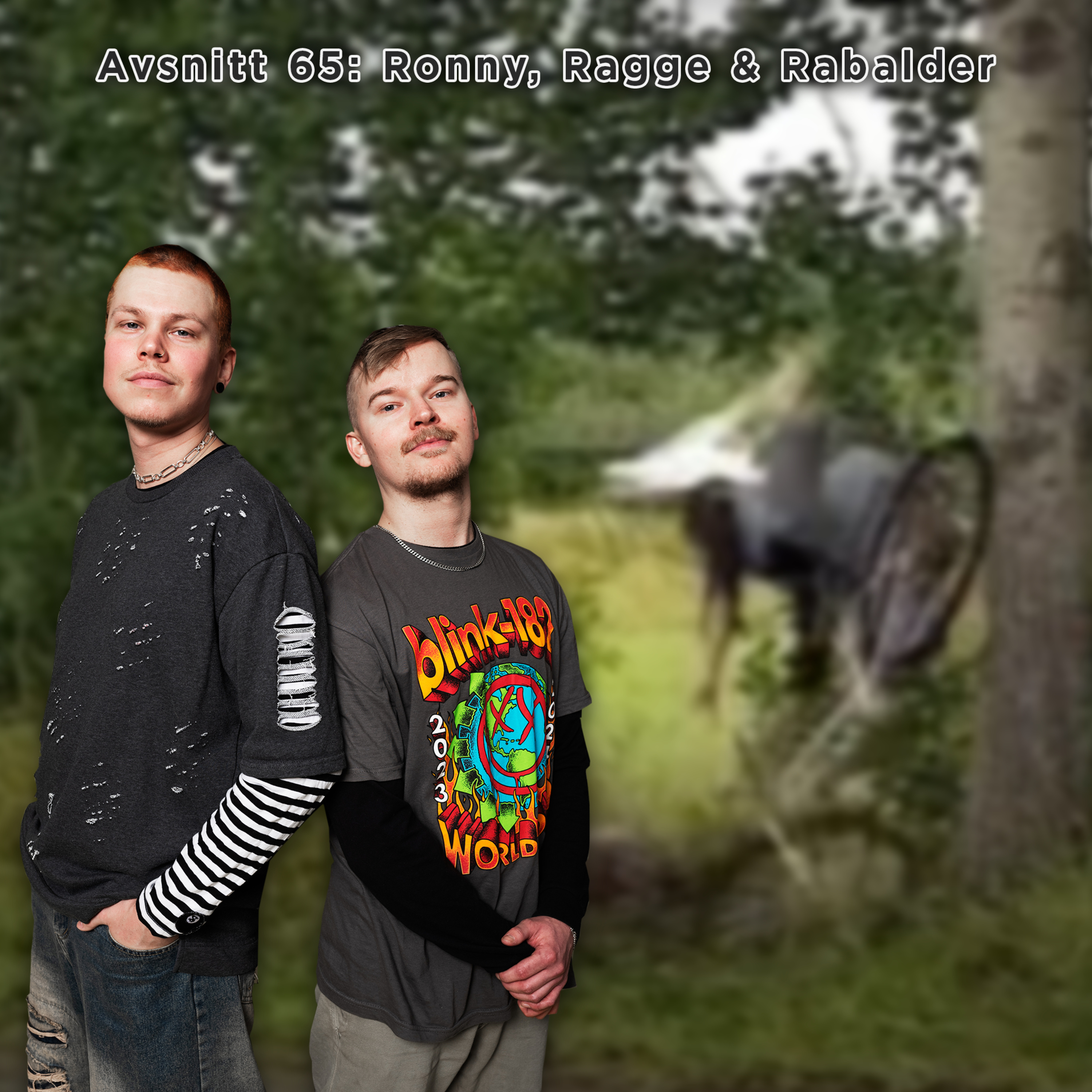 Alla De Små Sakerna