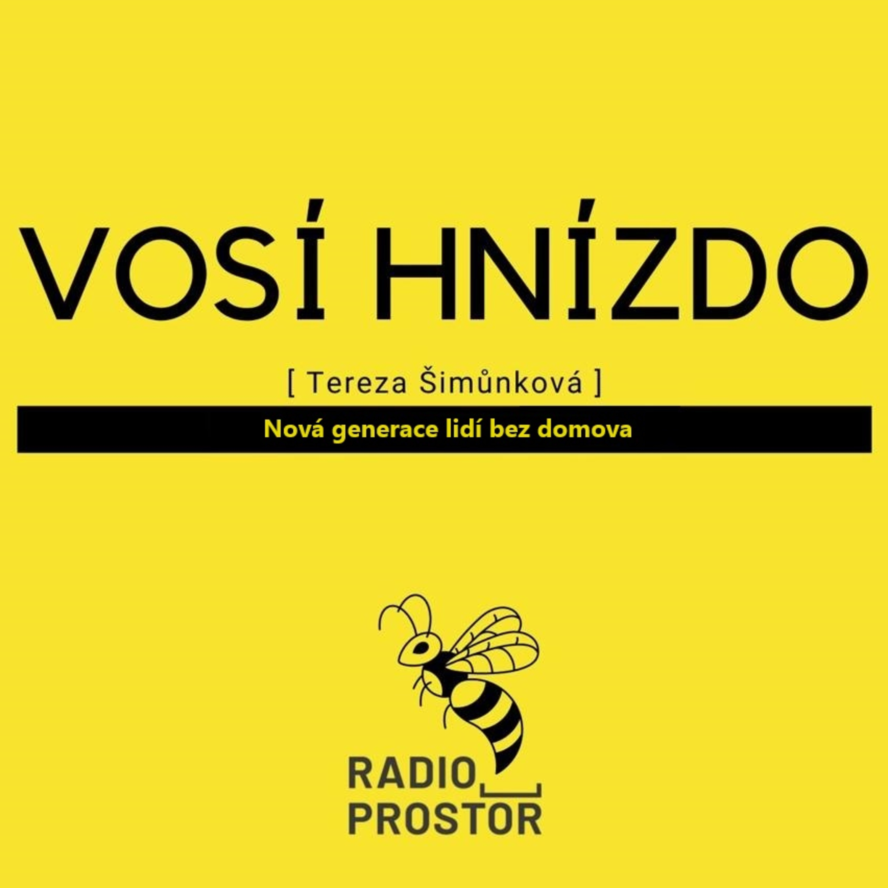 Vosí hnízdo s Terezou Šimůnkovou: Nová generace lidí bez domova episode artwork