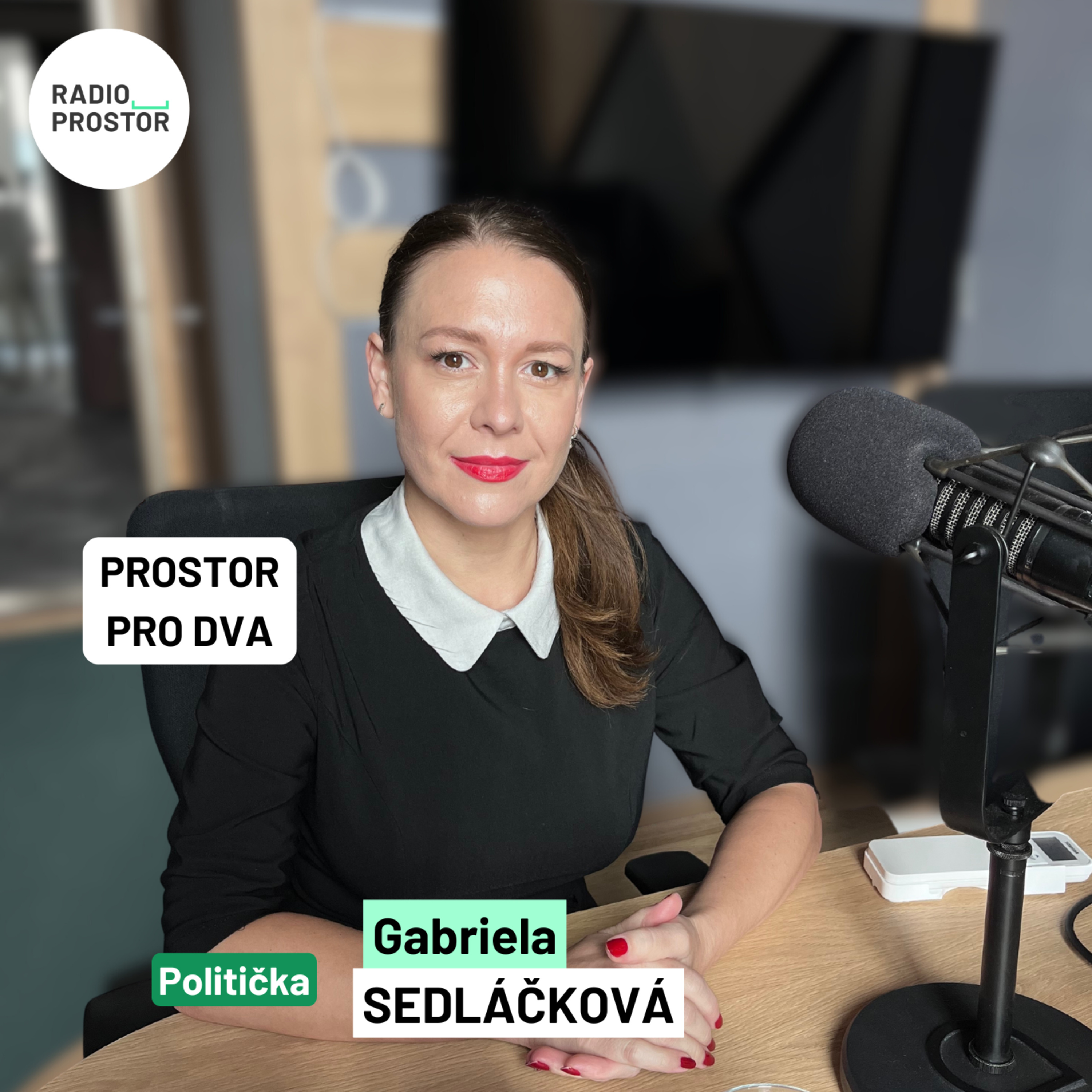 Občané jsou kvůli názorům šikanováni, říká Gabriela Sedláčková ze Společnosti na obranu svobody projevu episode artwork