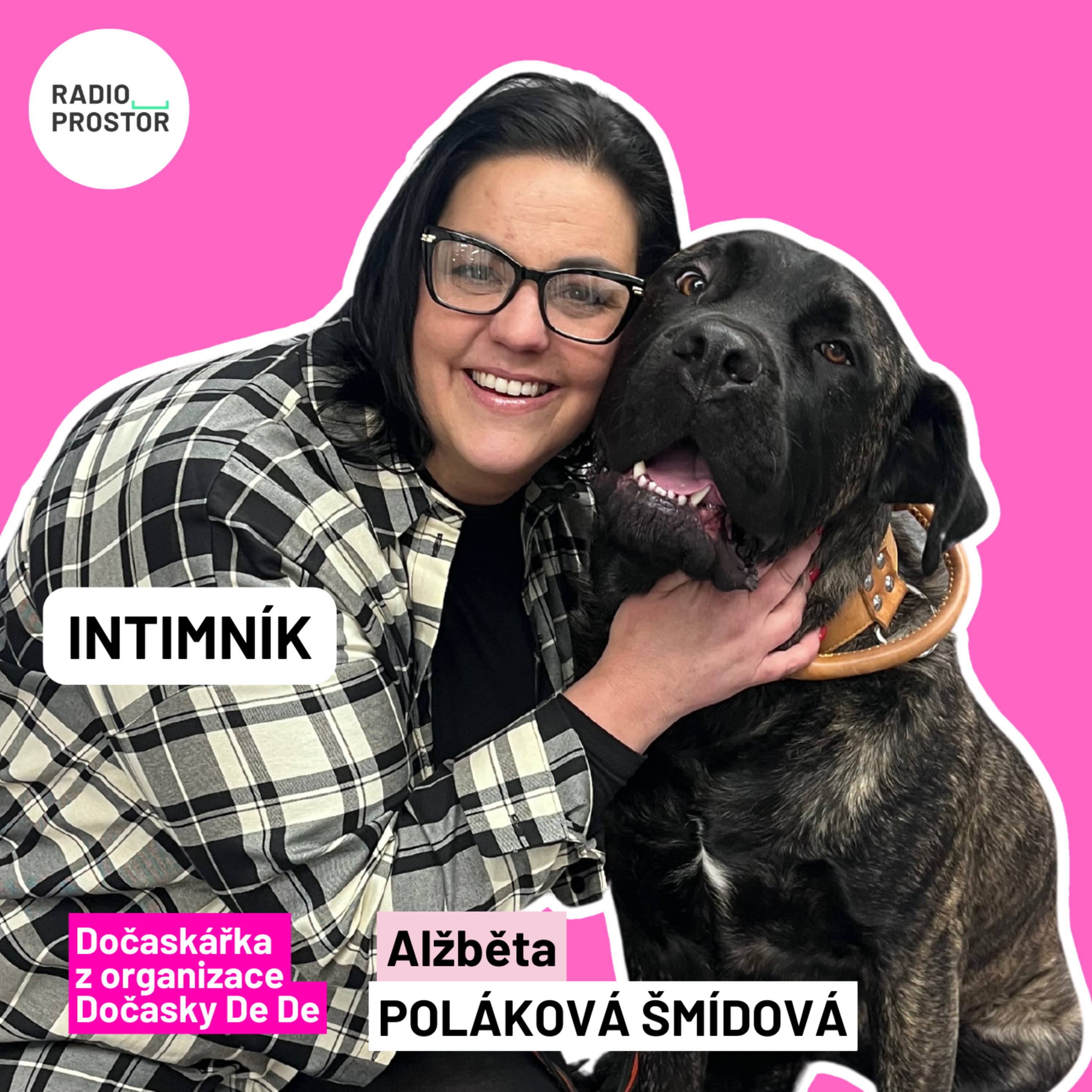 Léčba jednoho pejska, kterého mám v péči, se zatím vyšplhala na 100 tisíc. My dočaskáři pečujeme o opuštěná zvířata zdarma episode artwork