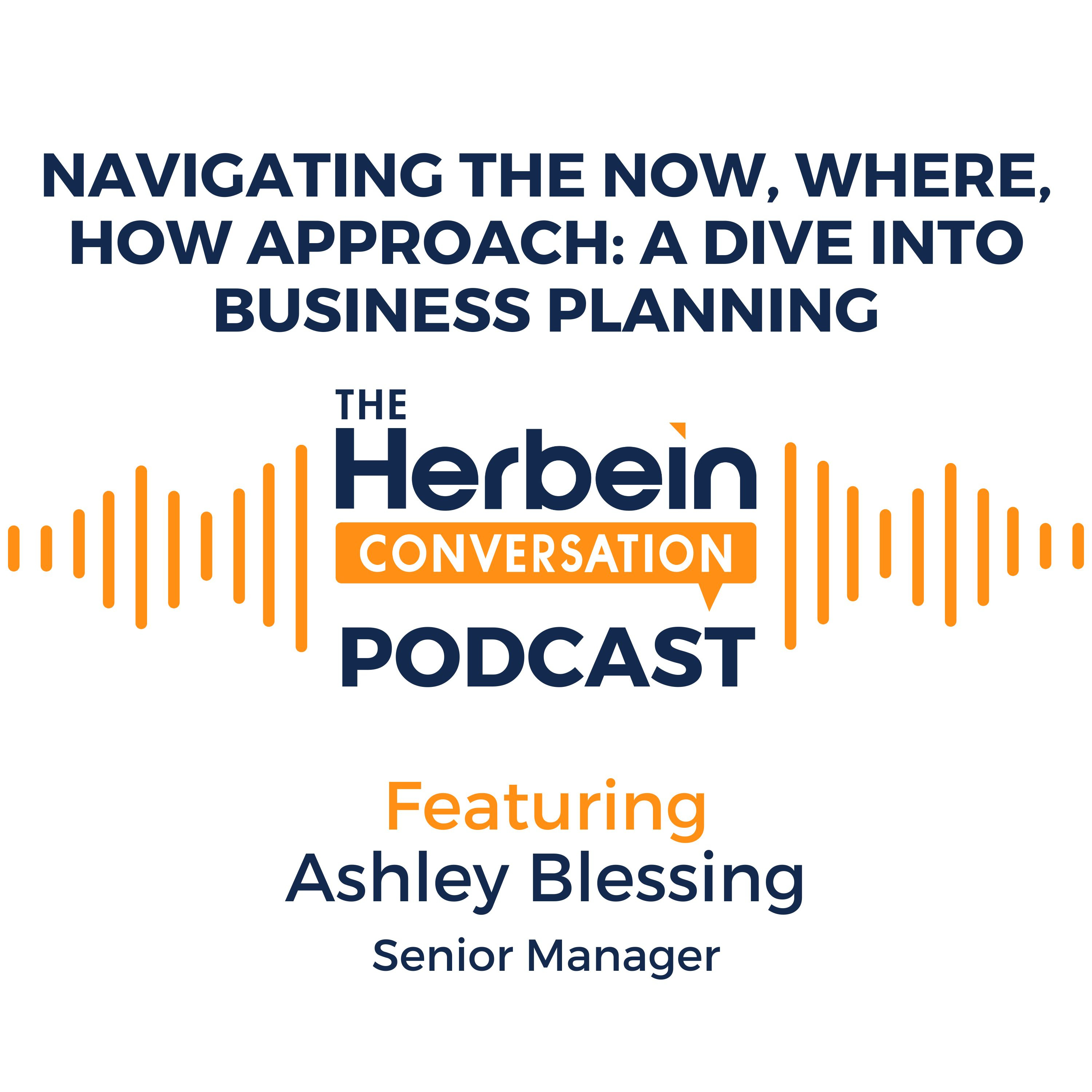Navigating the Now, Where, How Approach: A Dive into Business Planning episode artwork