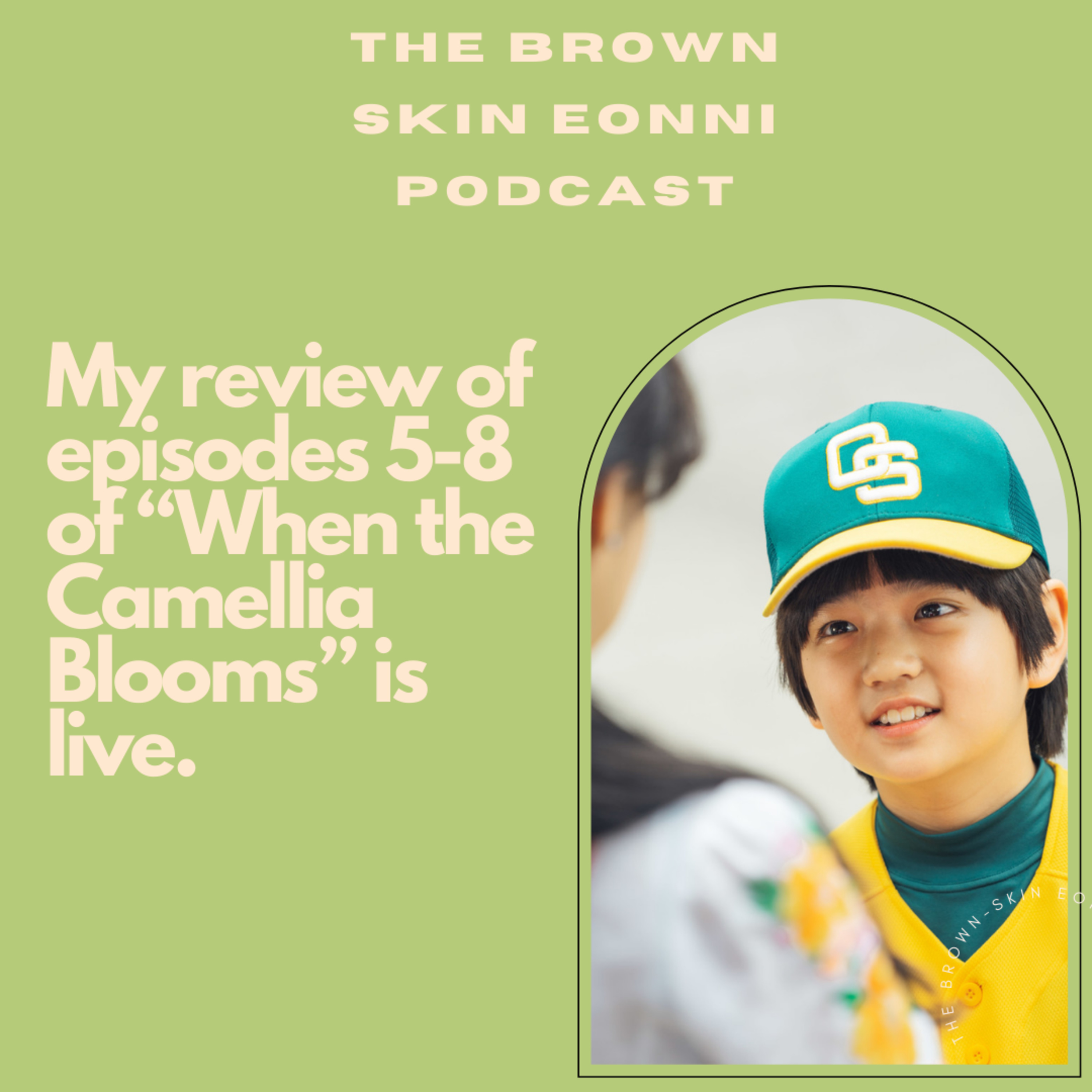 "When the Camellia Blooms" A Kdrama Review Episodes Five to Eight “Born To Be a Hippo” episode artwork