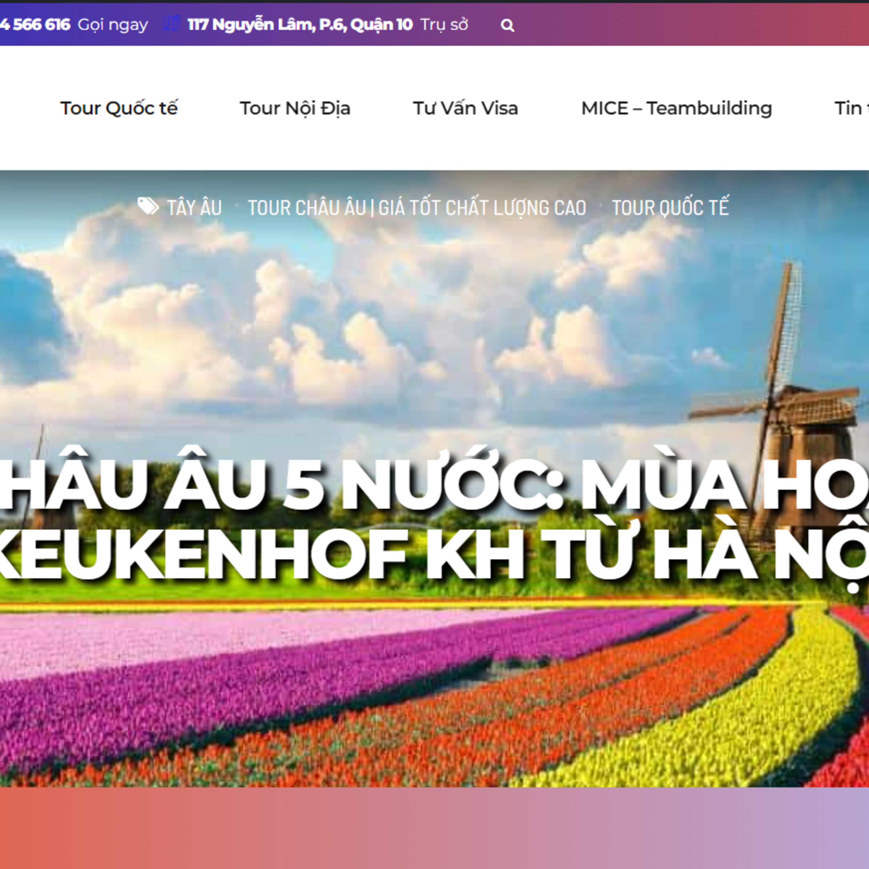 Tour Châu Âu Từ HN | Mùa Xuân Châu Âu |Lễ Hội Tulip Keukenhof episode artwork