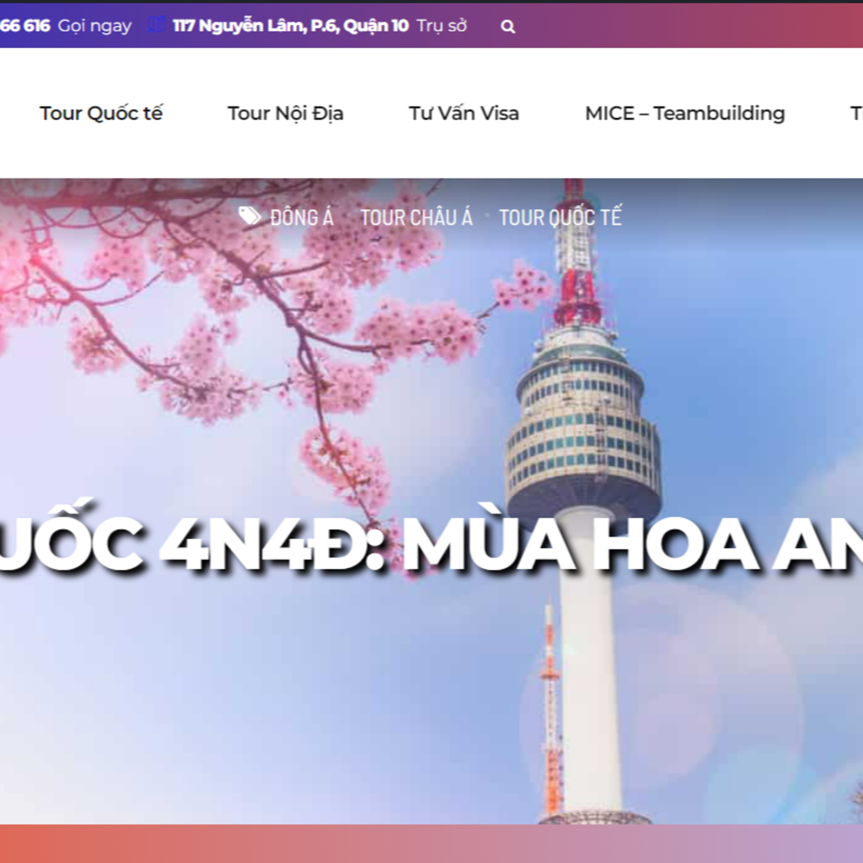 Tour Hàn Quốc Hoa Anh Đào | Khách Sạn 4* Quốc Tế | VTourist