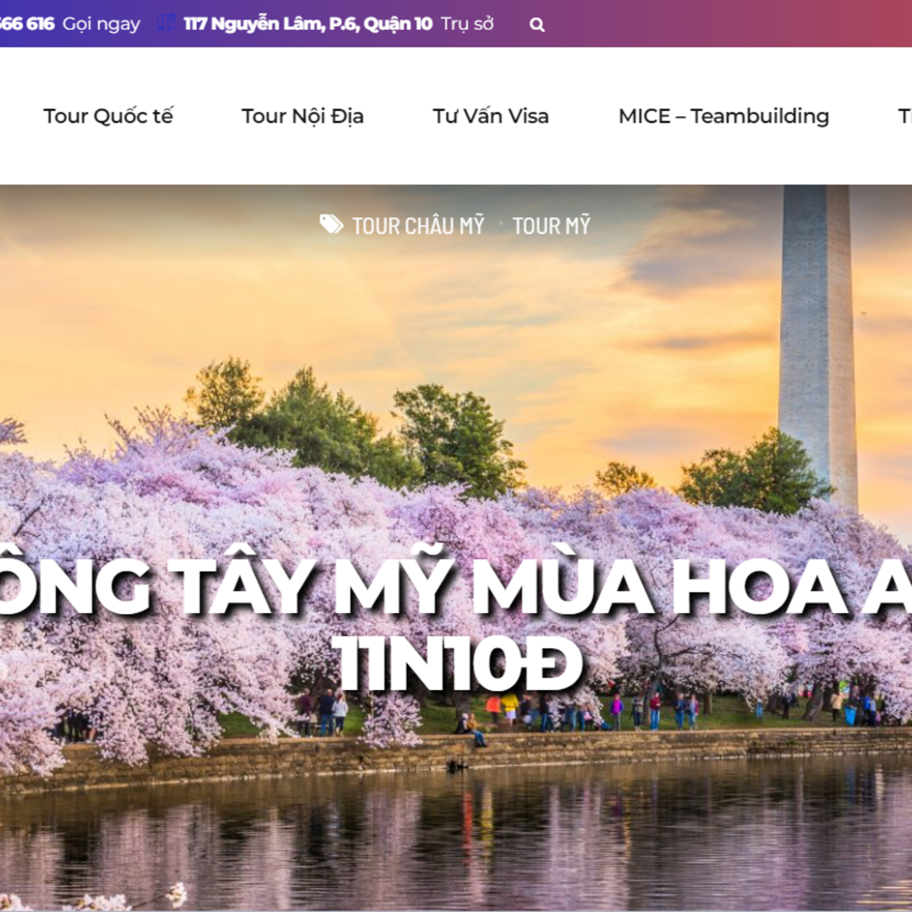 Tour Mỹ Hoa Anh Đào: Khám Phá Vẻ Đẹp Đặc Trưng và Dịch Vụ Bay 5 cùng VTourist* episode artwork