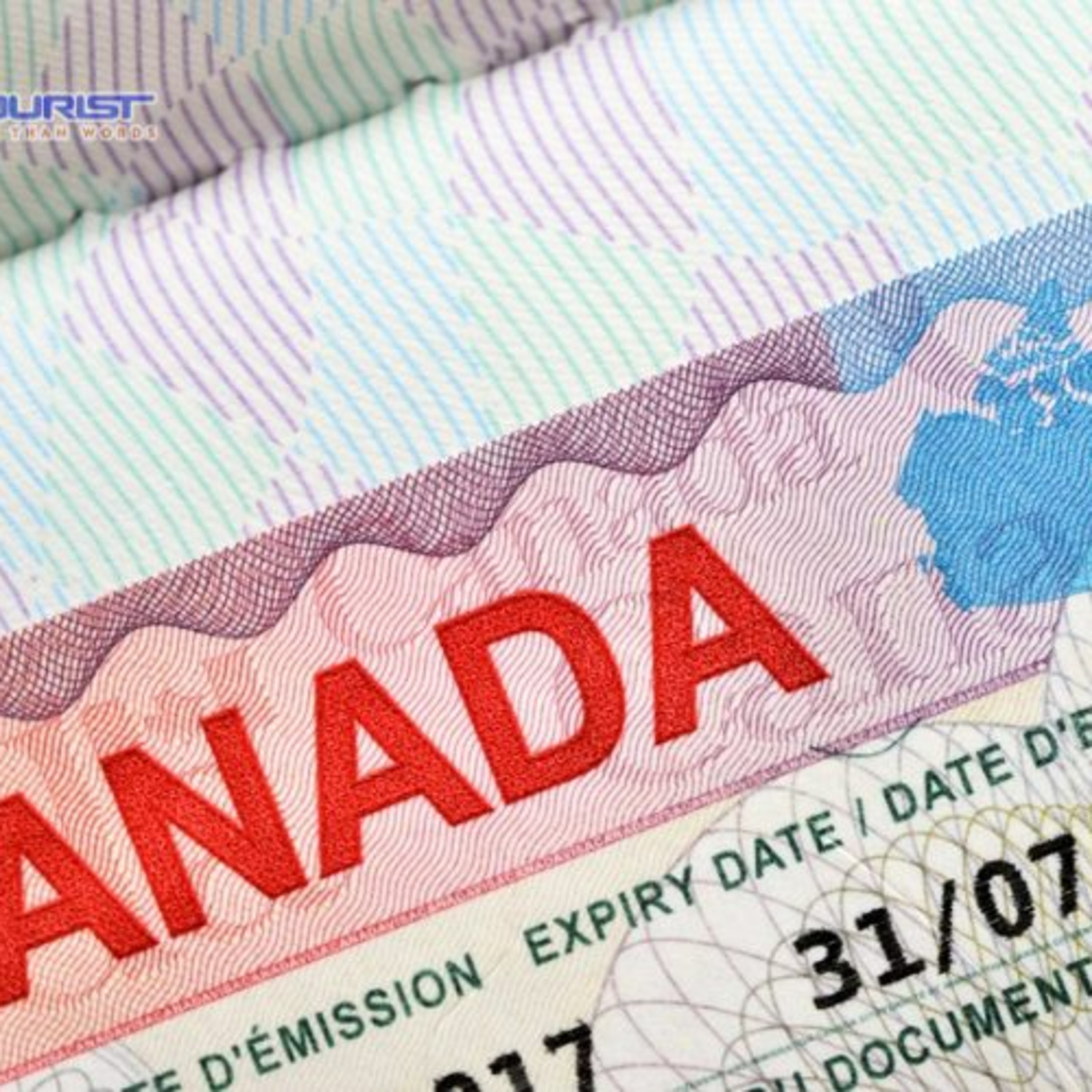 Tổng Hợp Các Loại Visa Du Lịch Canada 2024 I VTourist episode artwork