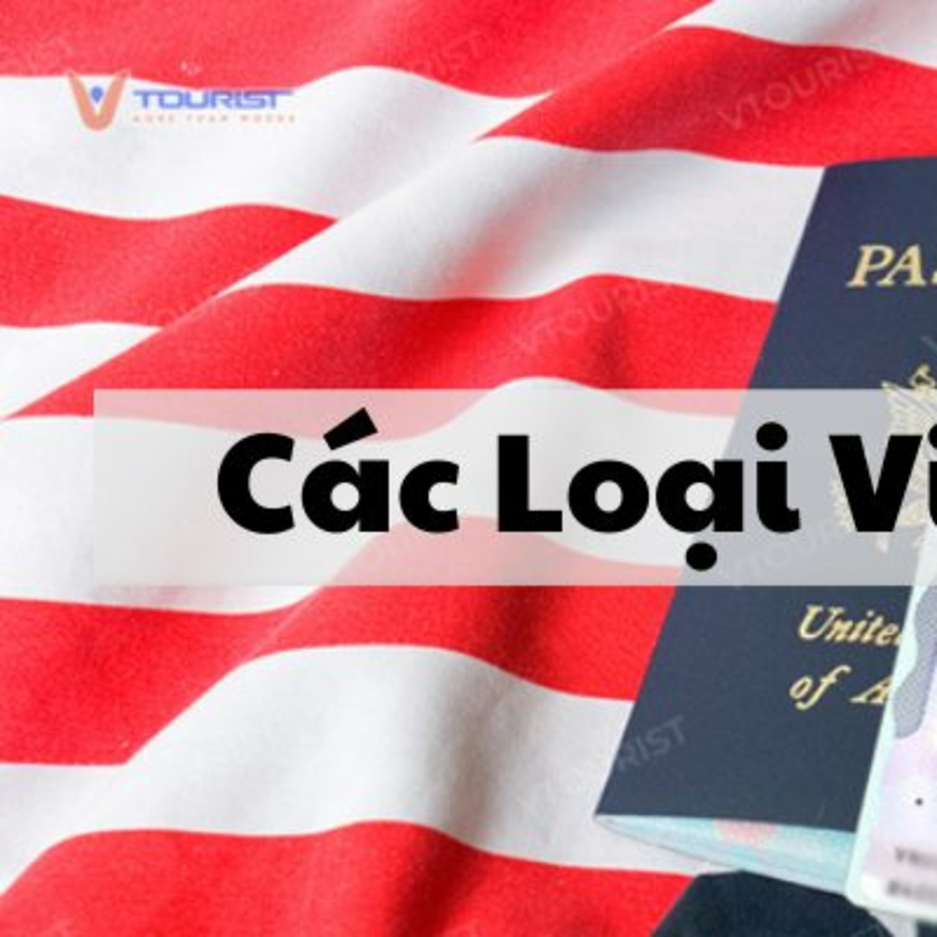 Các Loại Visa Mỹ episode artwork