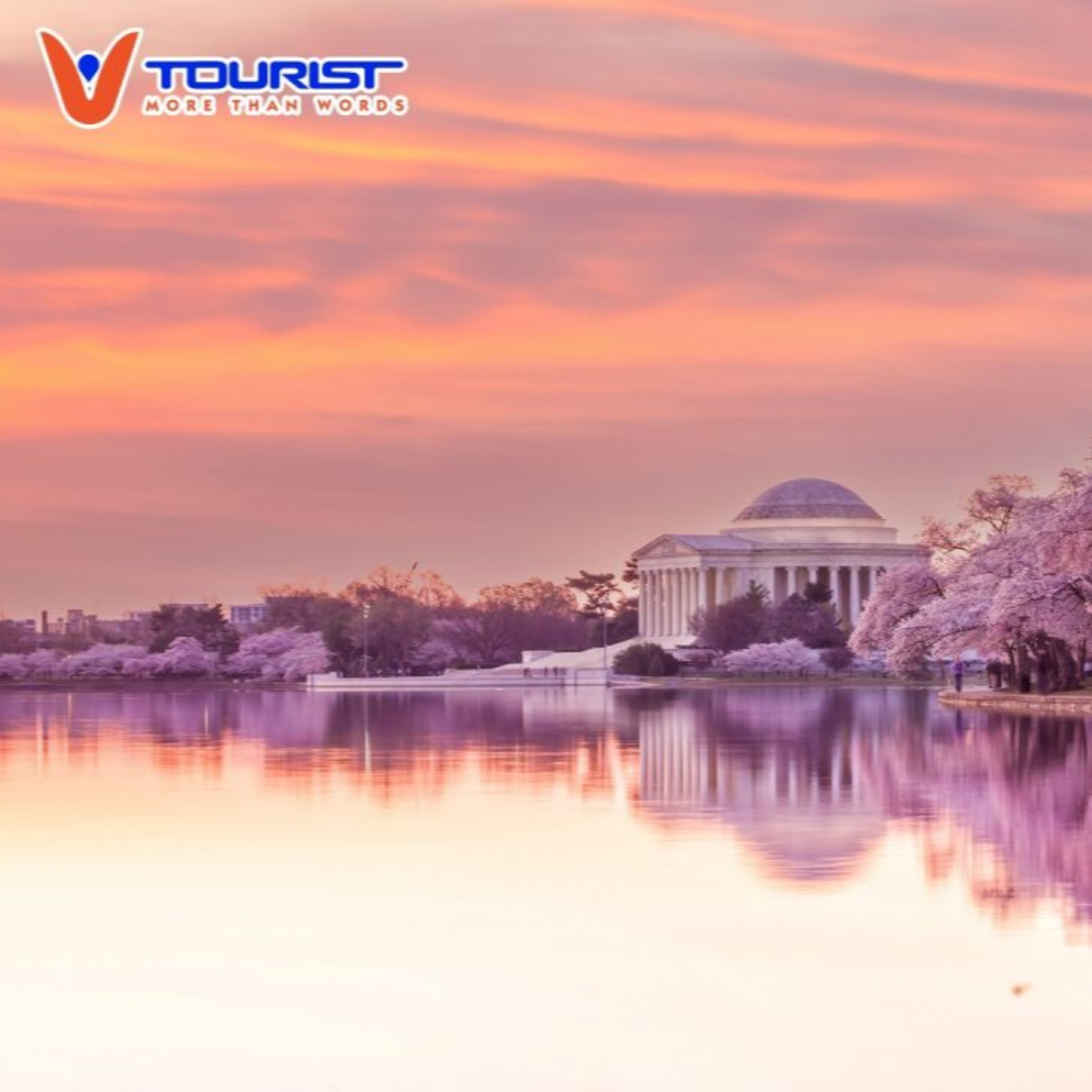 Công ty Cổ phần Du lịch VTourist