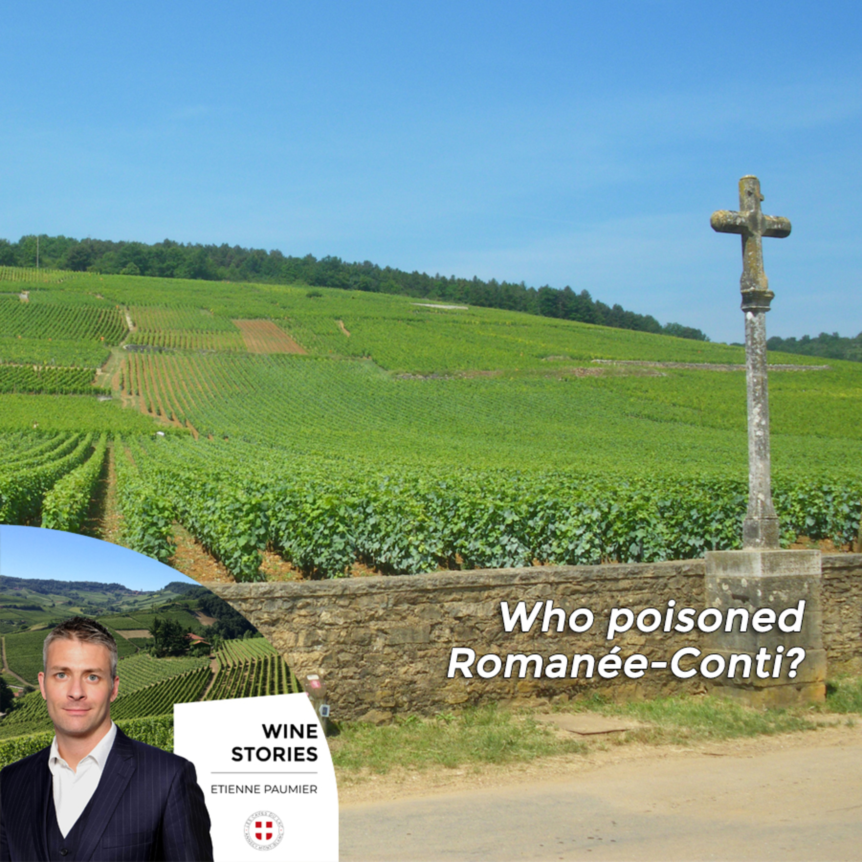 Wine Stories