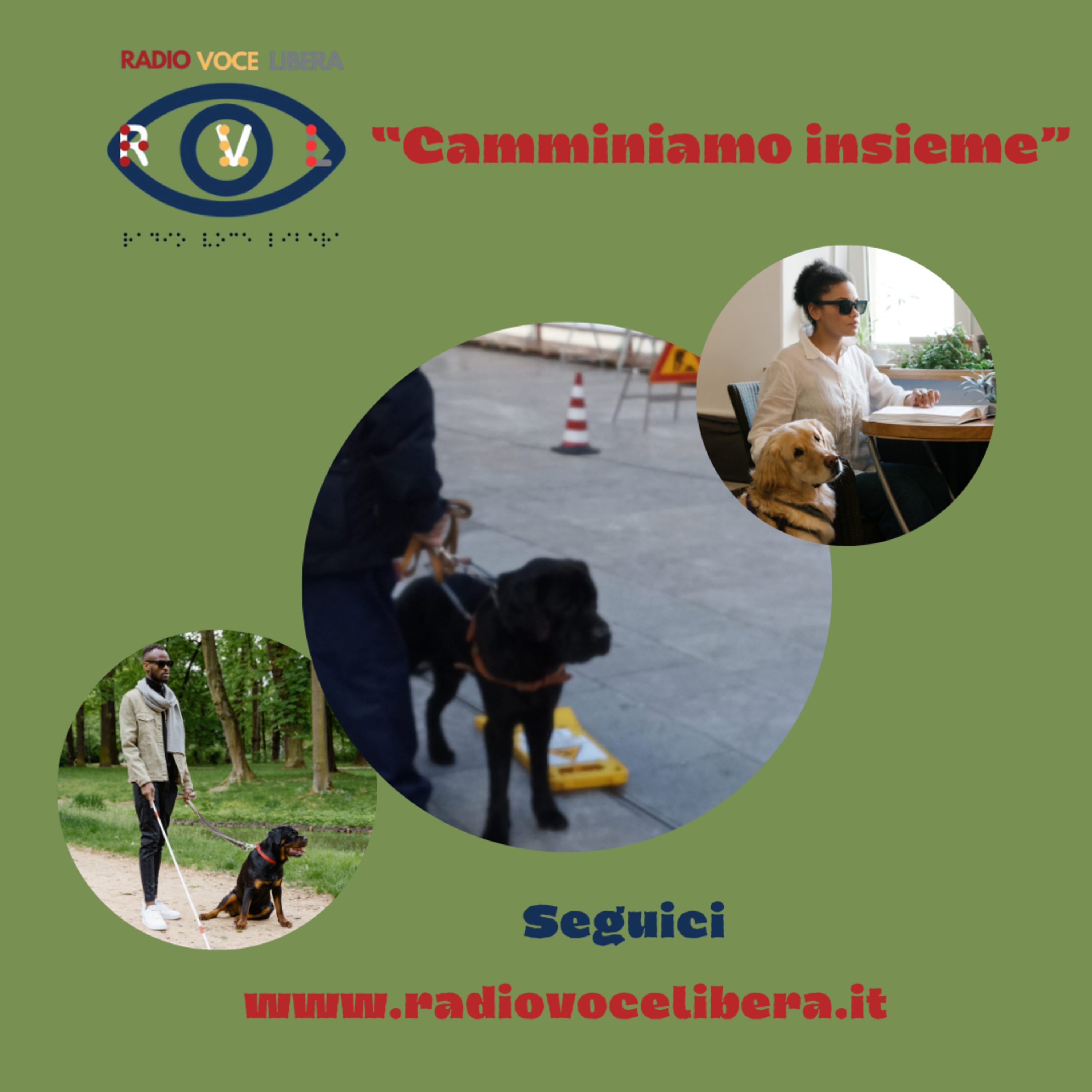 Camminando insieme - La salute psicoficia del cane con il dottor Stefano Chiariello episode artwork