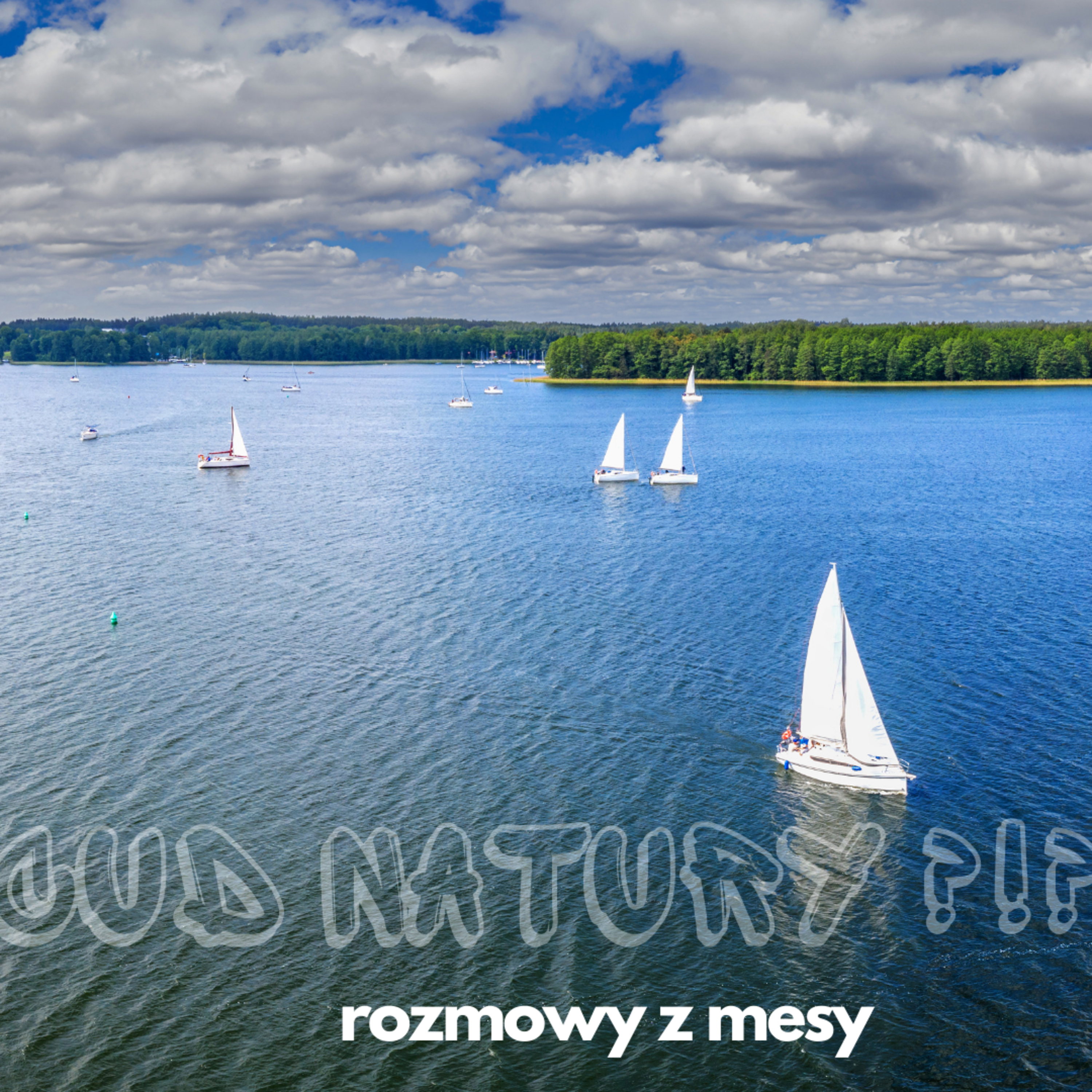 Rozmowy z Mesy