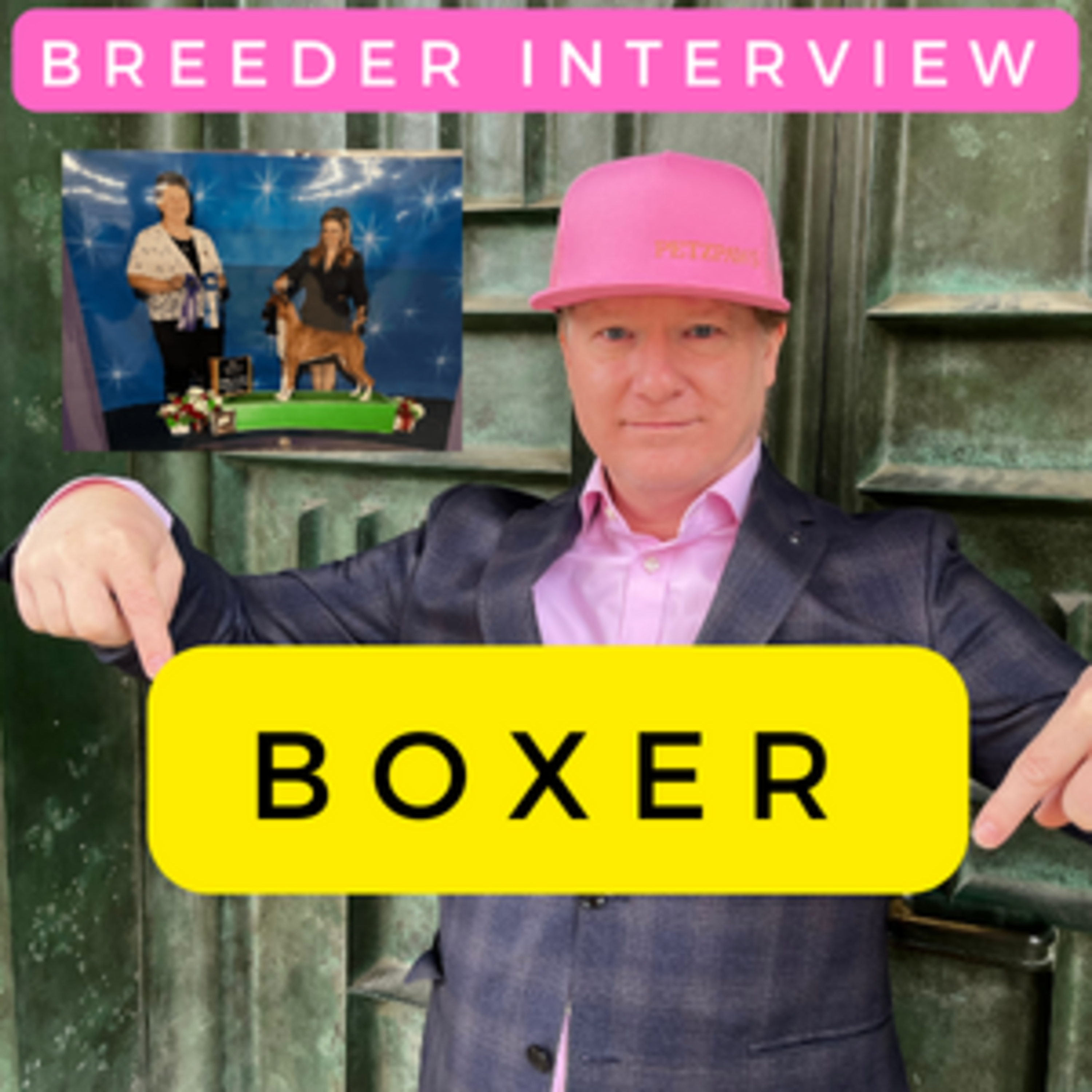 Boxer (LIVE) Breeder Interview w/ Trainer and Advocate Amy Bieri-Shields episode artwork