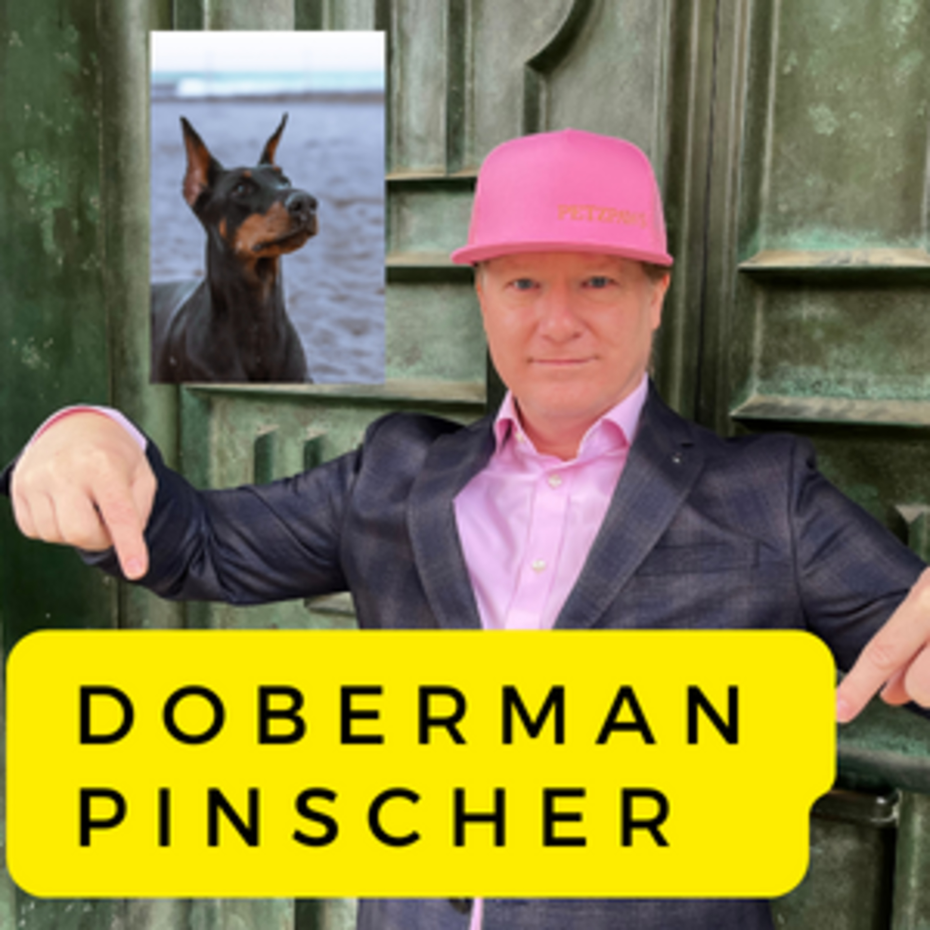 Doberman Pinscher History, Form and Function, Livability and Lovability episode artwork