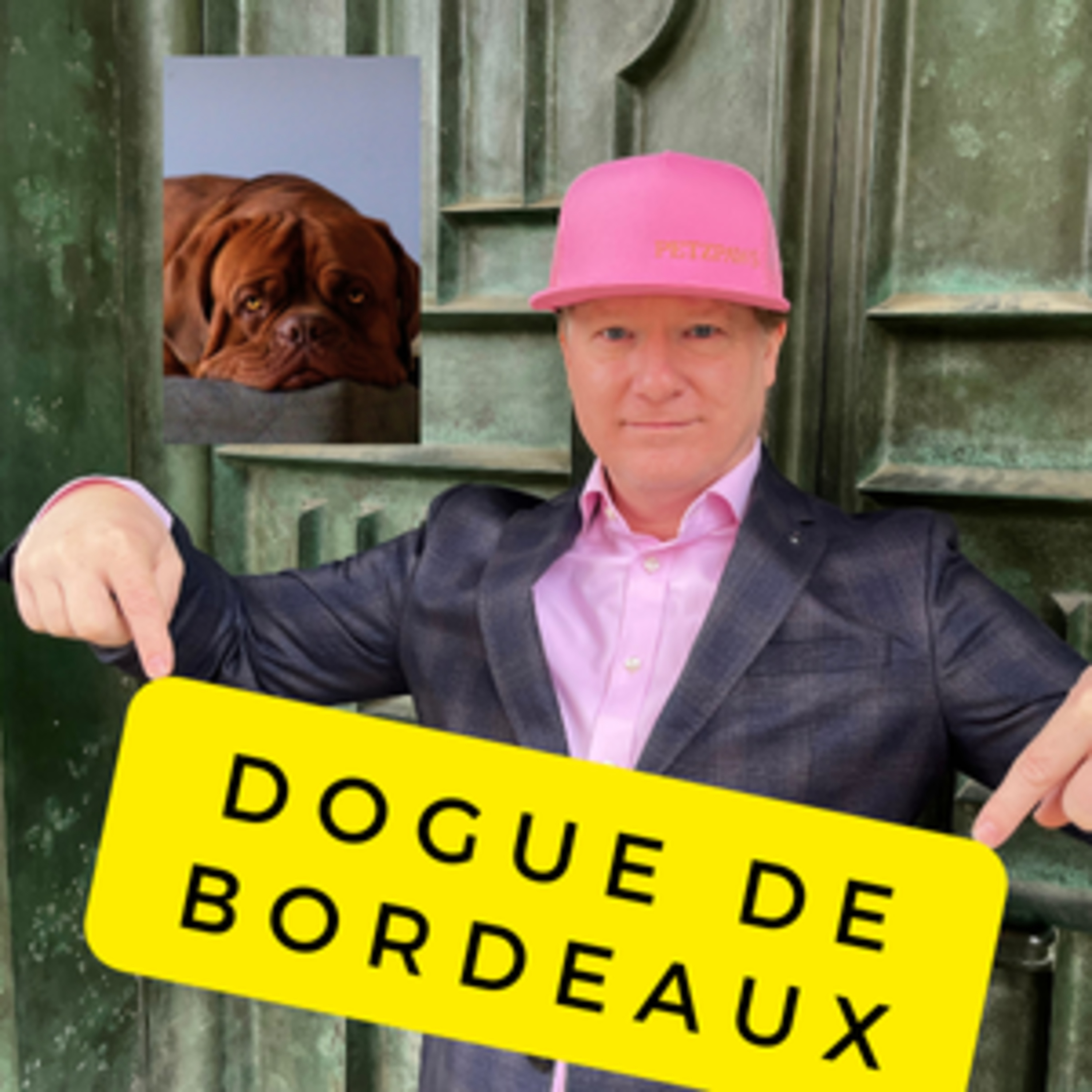 Learn, Don\'t Return - Fun Dog Breed Entertainment