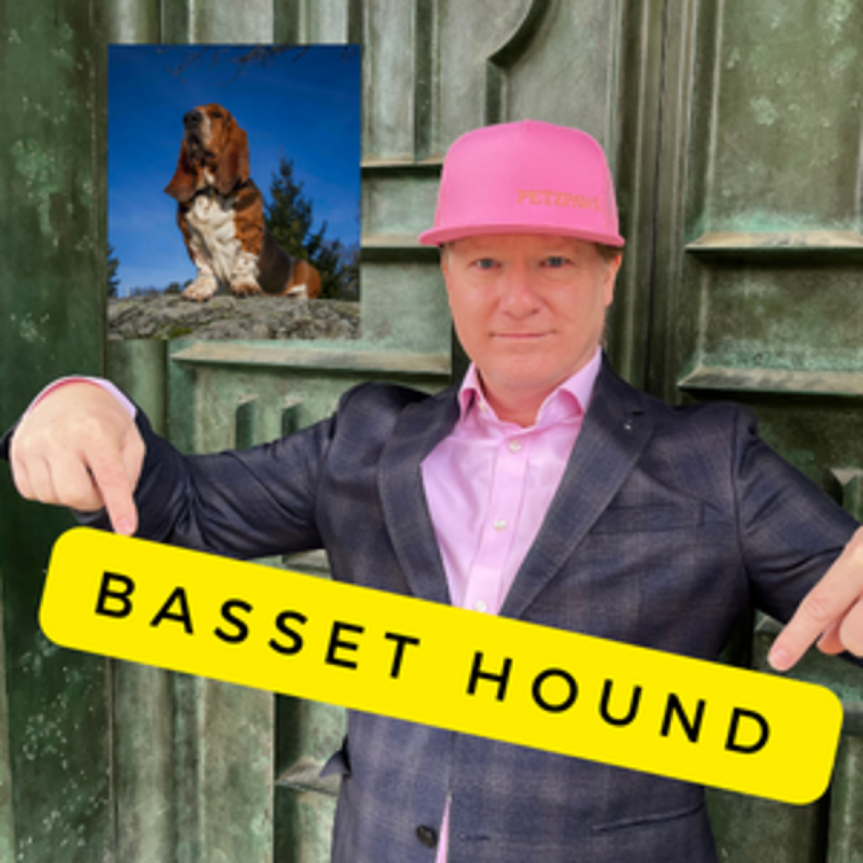 How BIG Are Basset Hounds? Size and Weight REVEALED! episode artwork