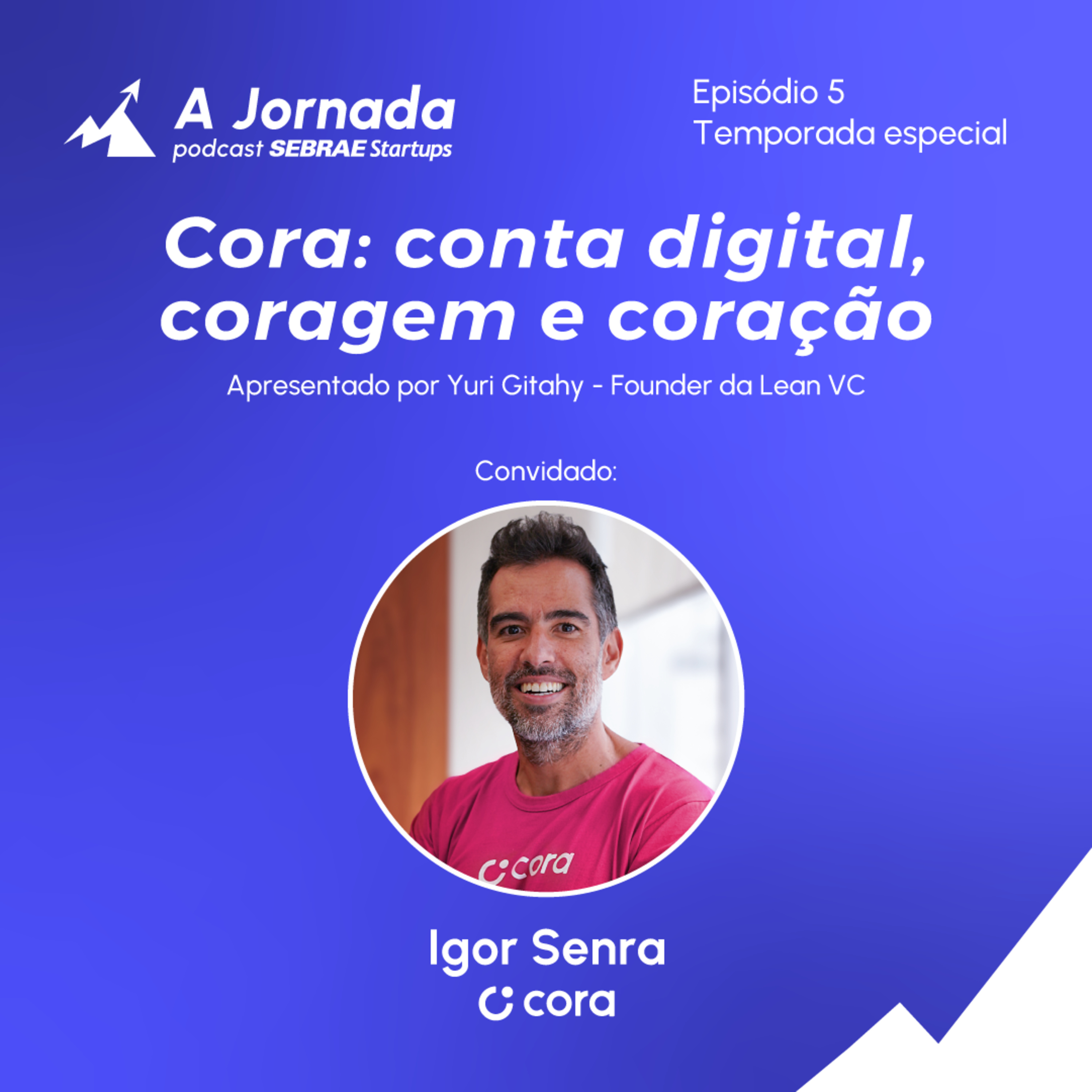 A Jornada - Sebrae Startups