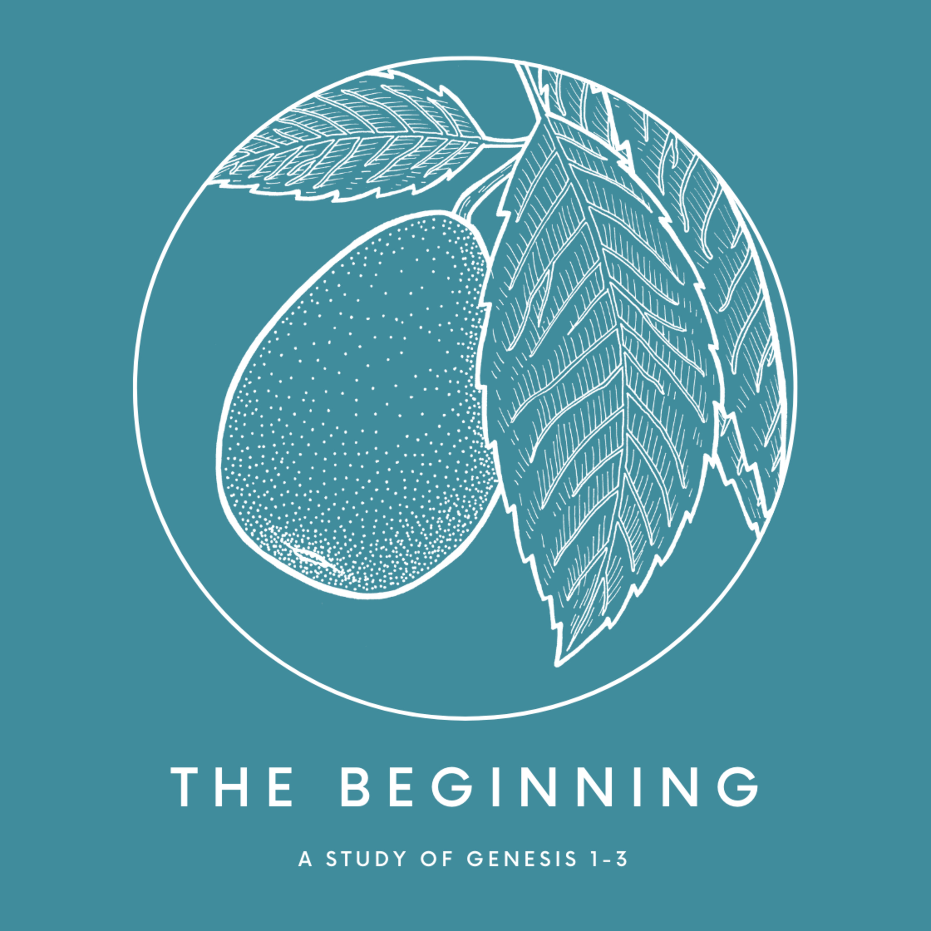 9 - Tree of Knowing episode artwork