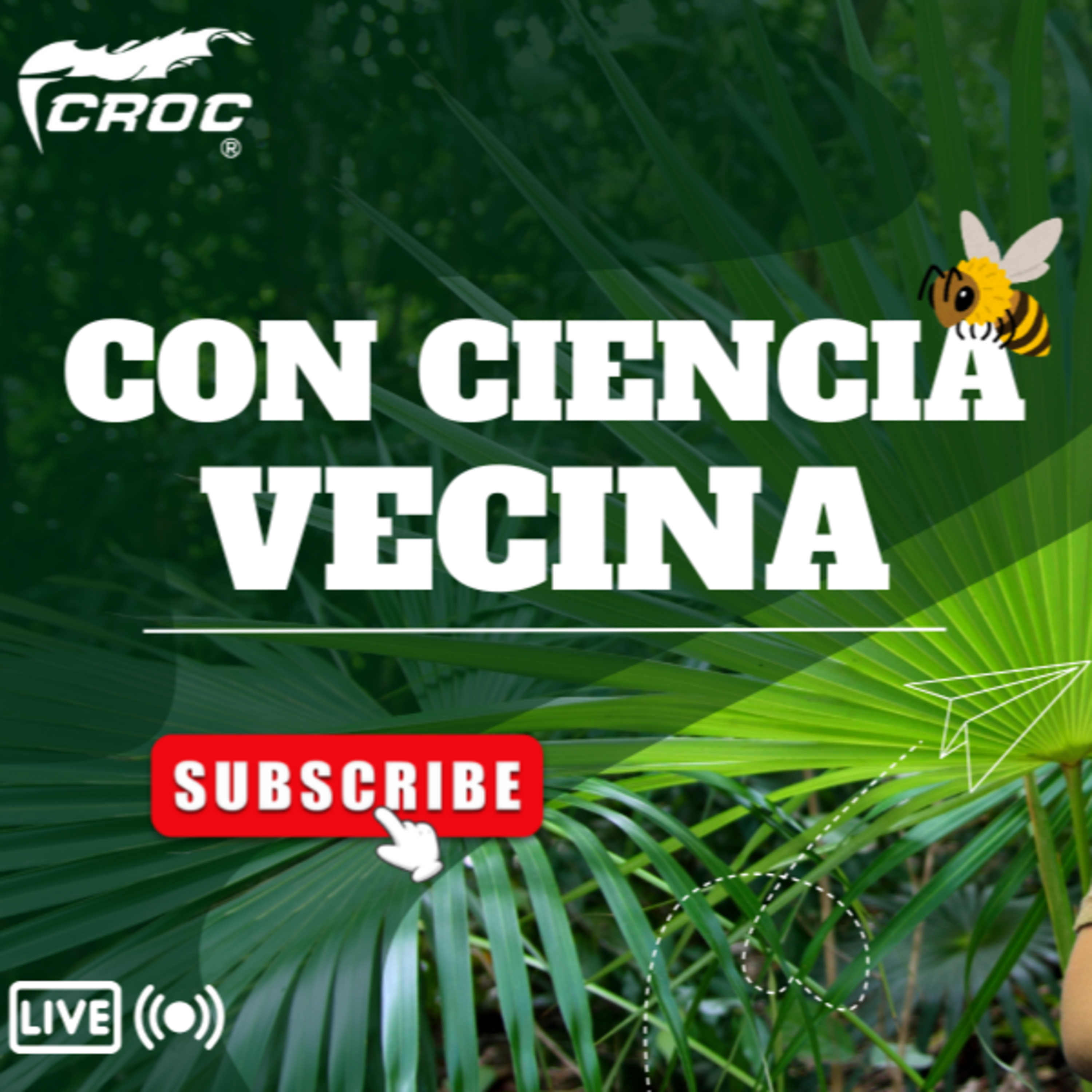 Radio CROC