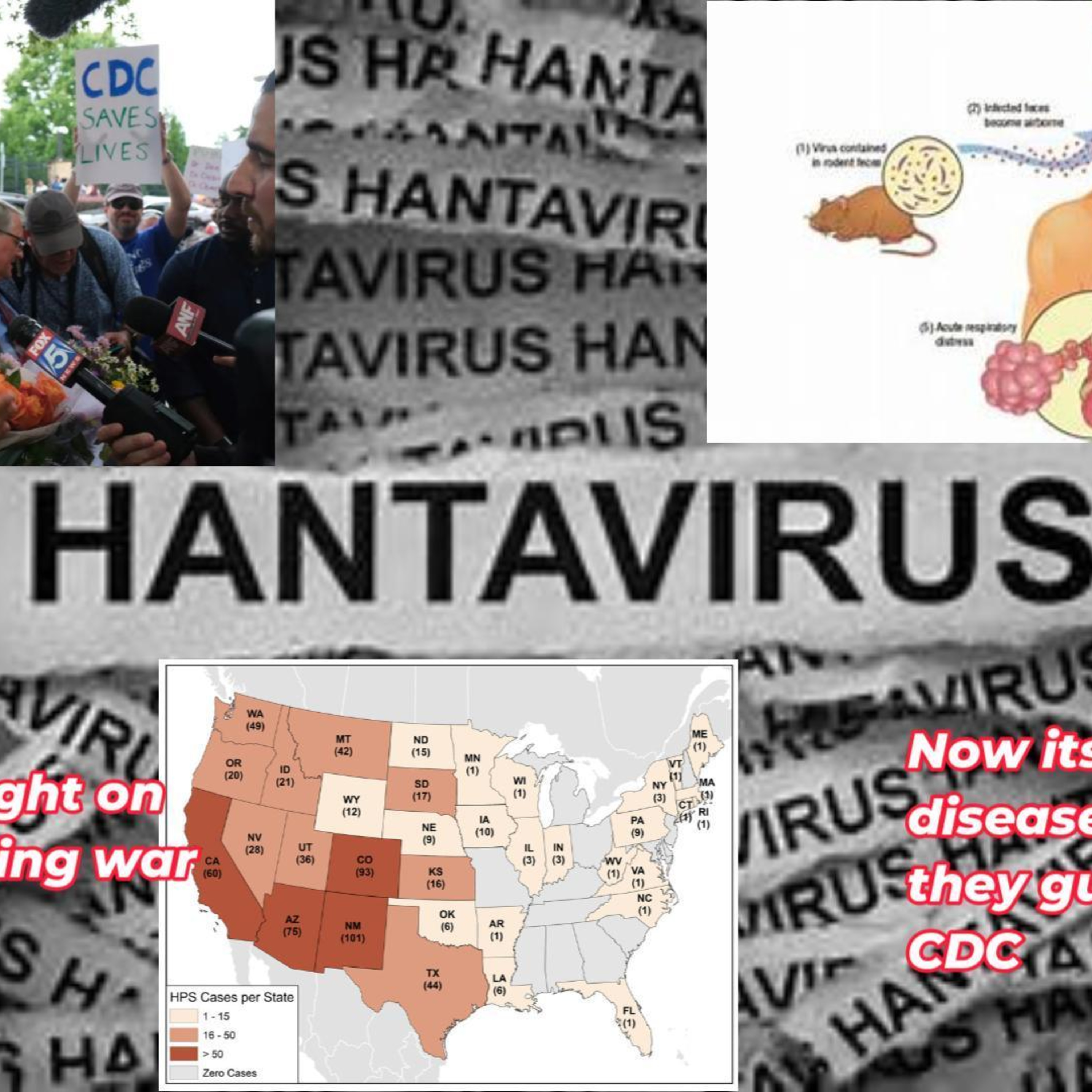 Hantavirus, Should you be worried, and is there a link to missing or dead scientist! episode artwork