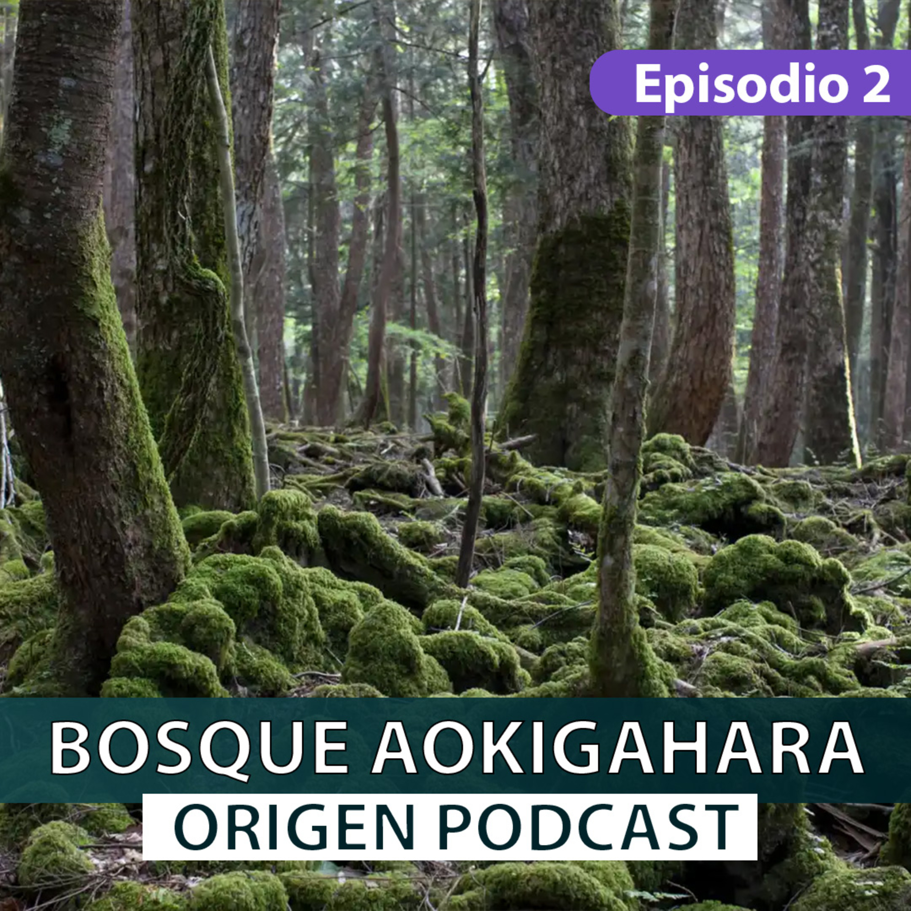 Origen - Bosque Aokigahara - Episodio 2 (T1) episode artwork