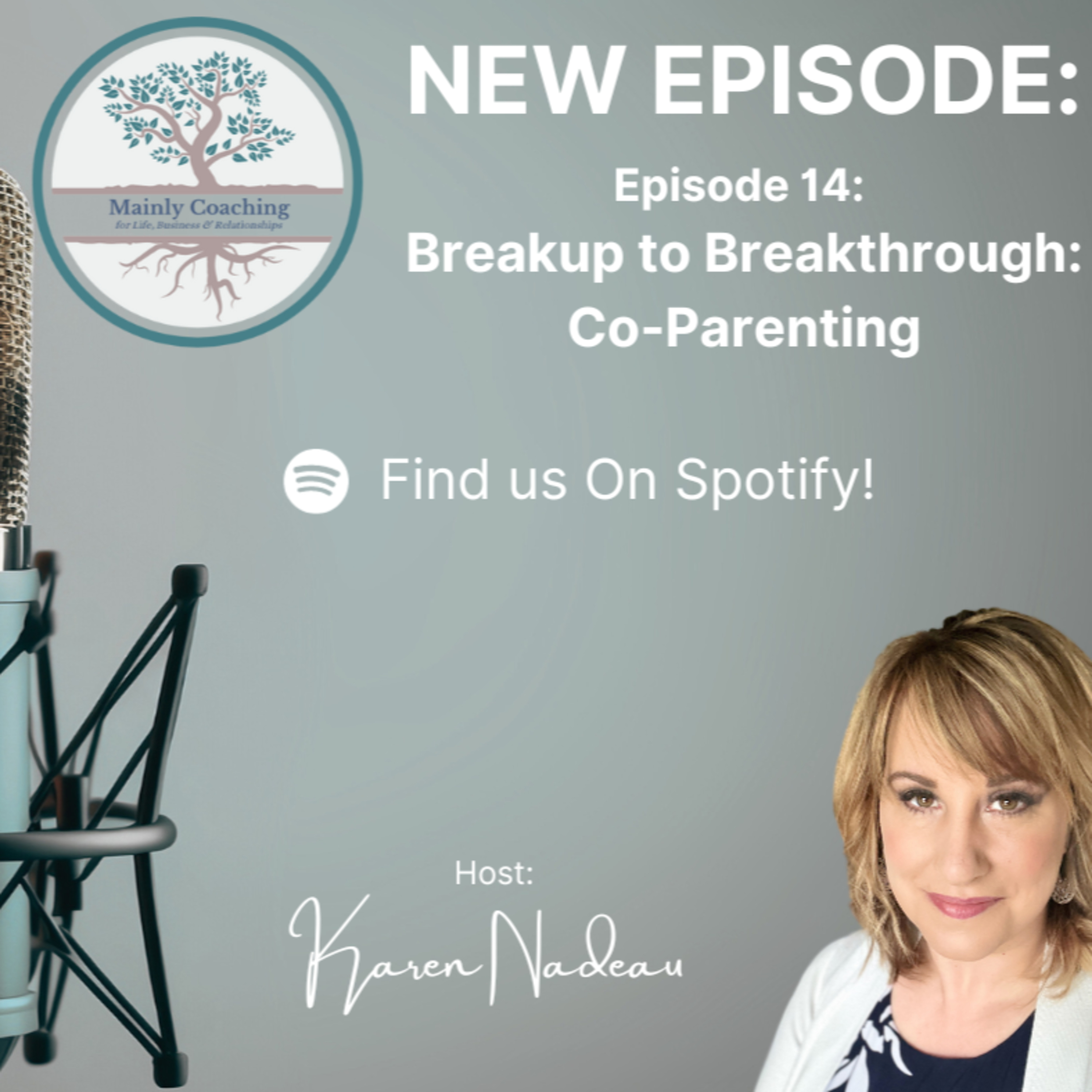 Breakup to Breakthrough: Co-Parenting episode artwork