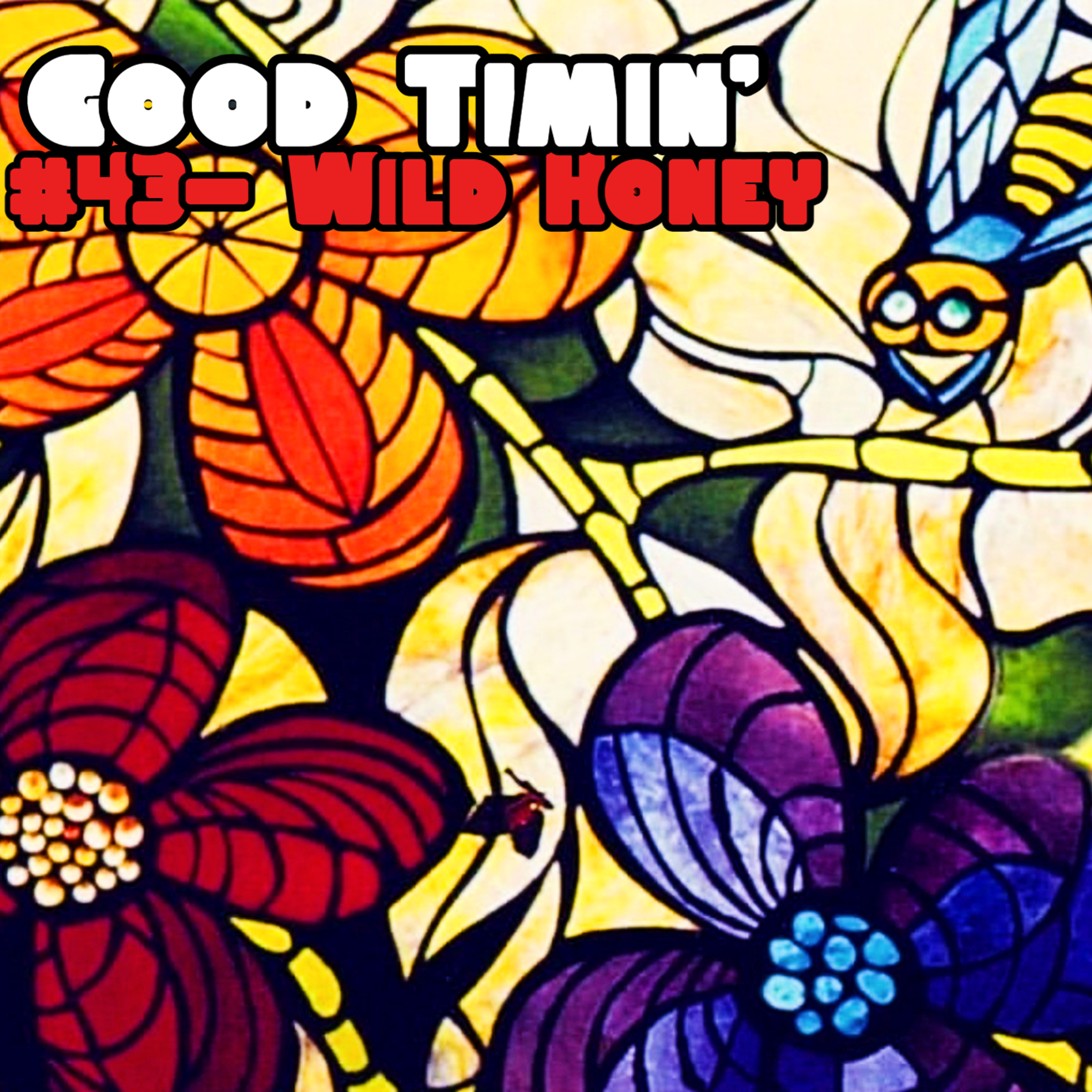 Good Timin’ - A Beach Boys Podcast