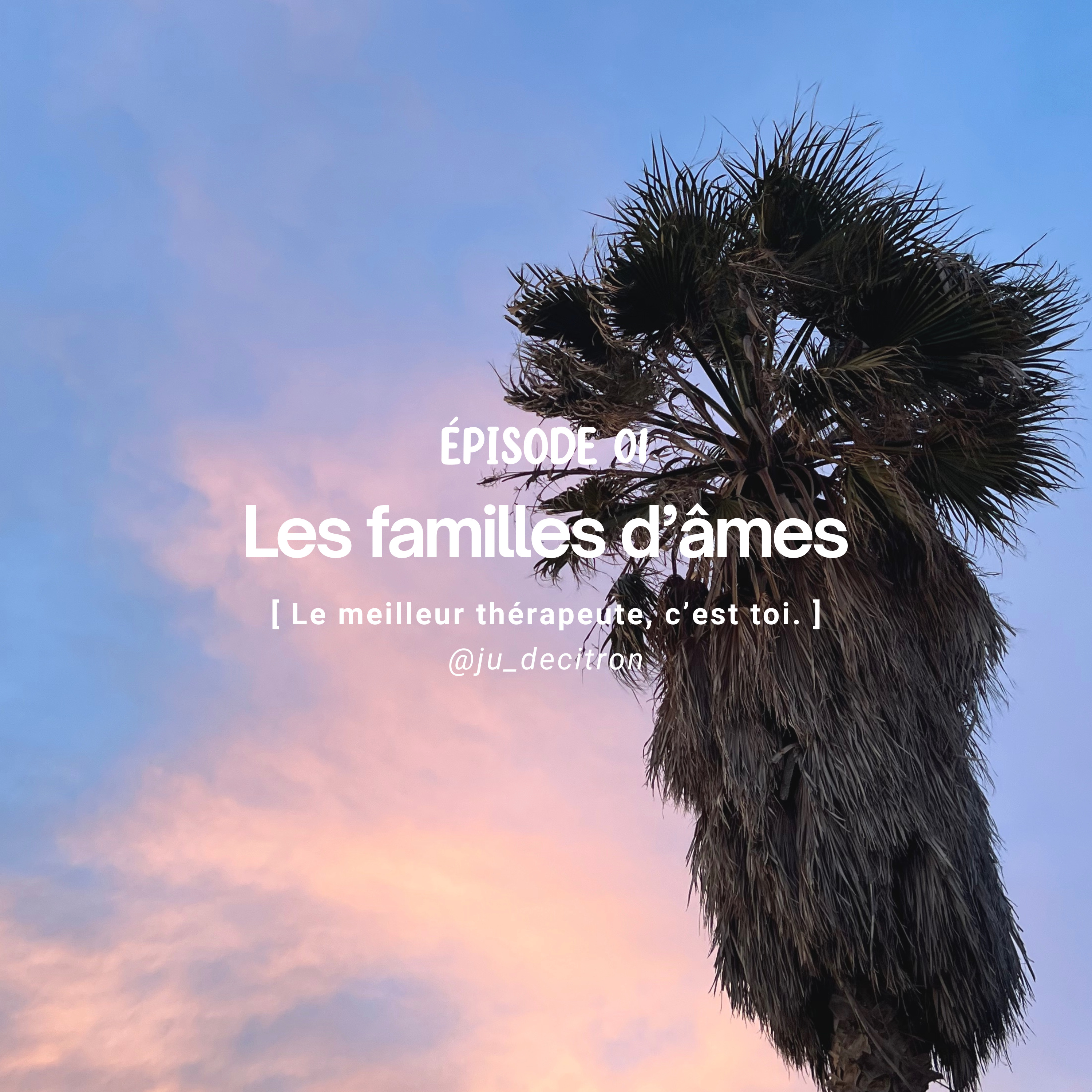Le meilleur thérapeute, c\'est toi.