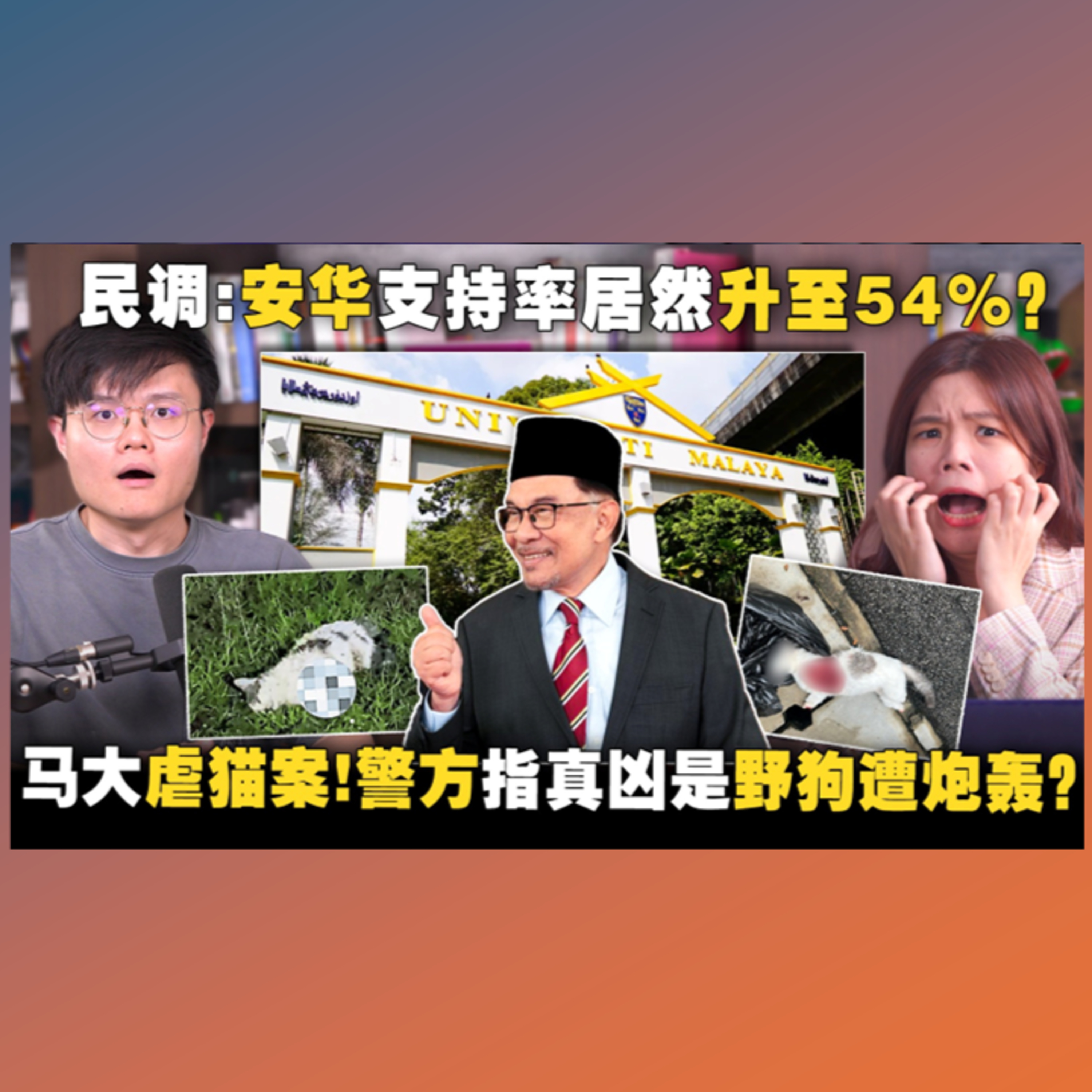 安华反贪不力,为何支持率却上升？马大校园惊现多起虐猫案,凶手是谁？【＃新闻随便看 25/12】