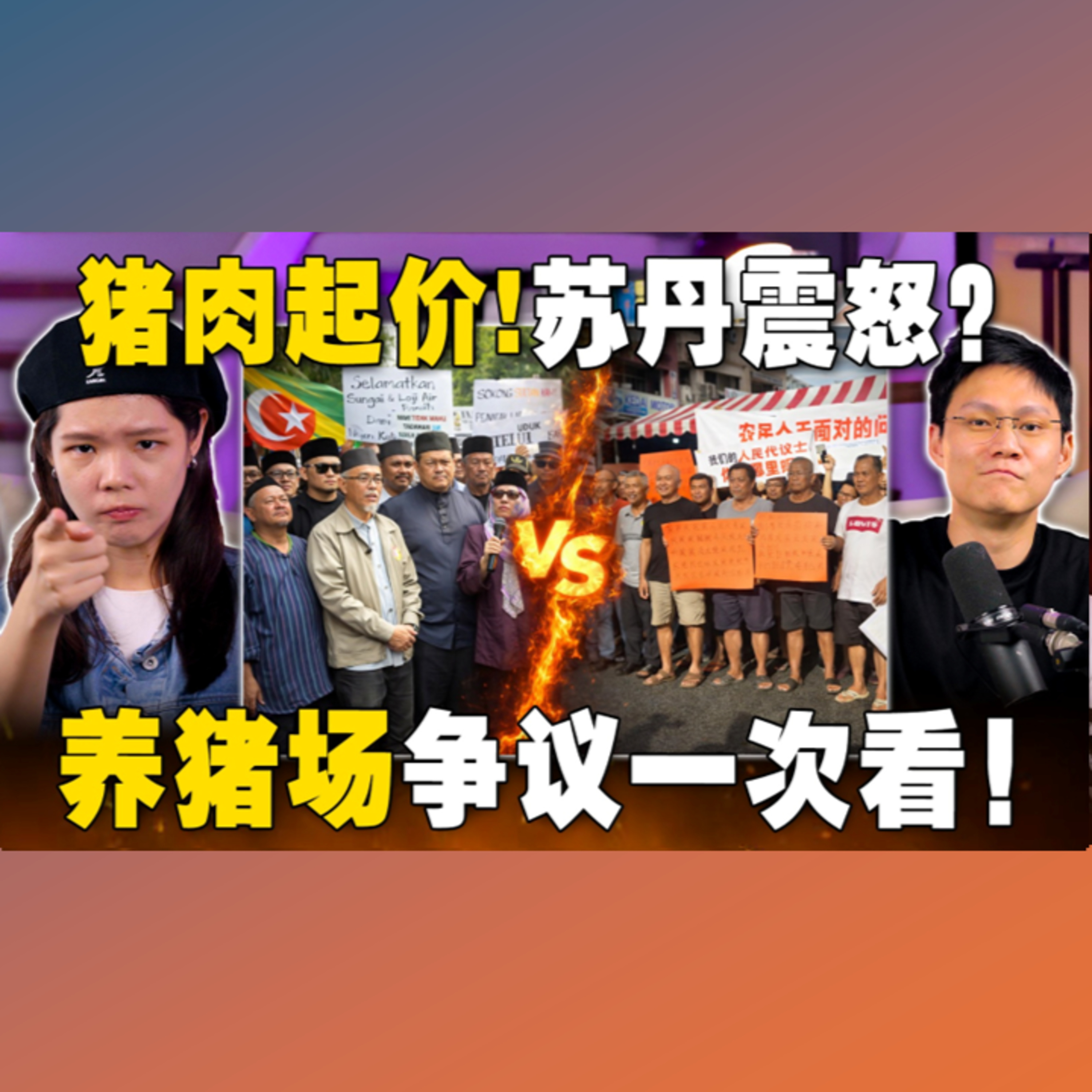雪州养猪场风波惹怒苏丹？食安危机恐酿种族课题？【#新闻随便看 17/1】