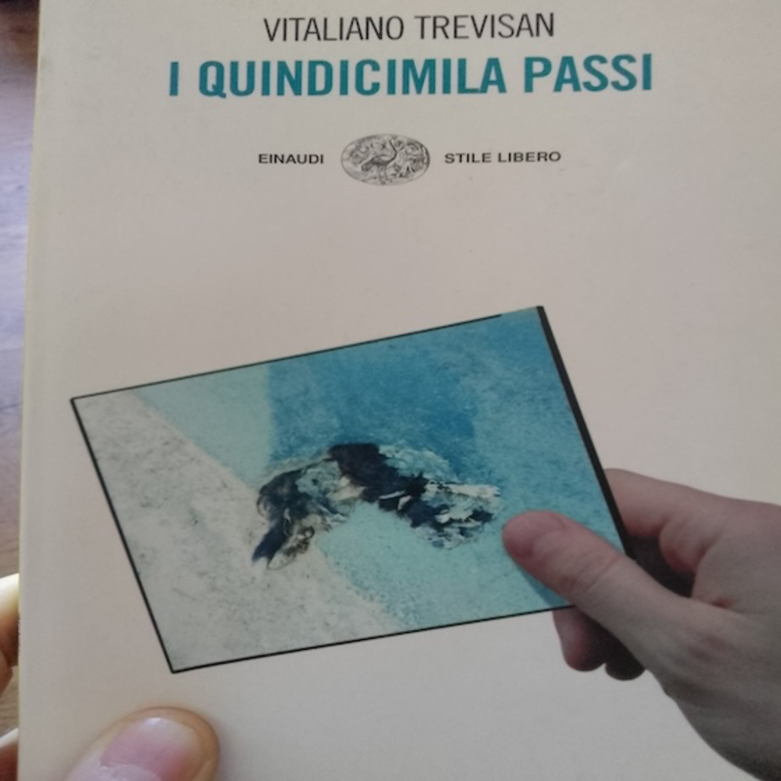 Con le Parole di Alloradillo