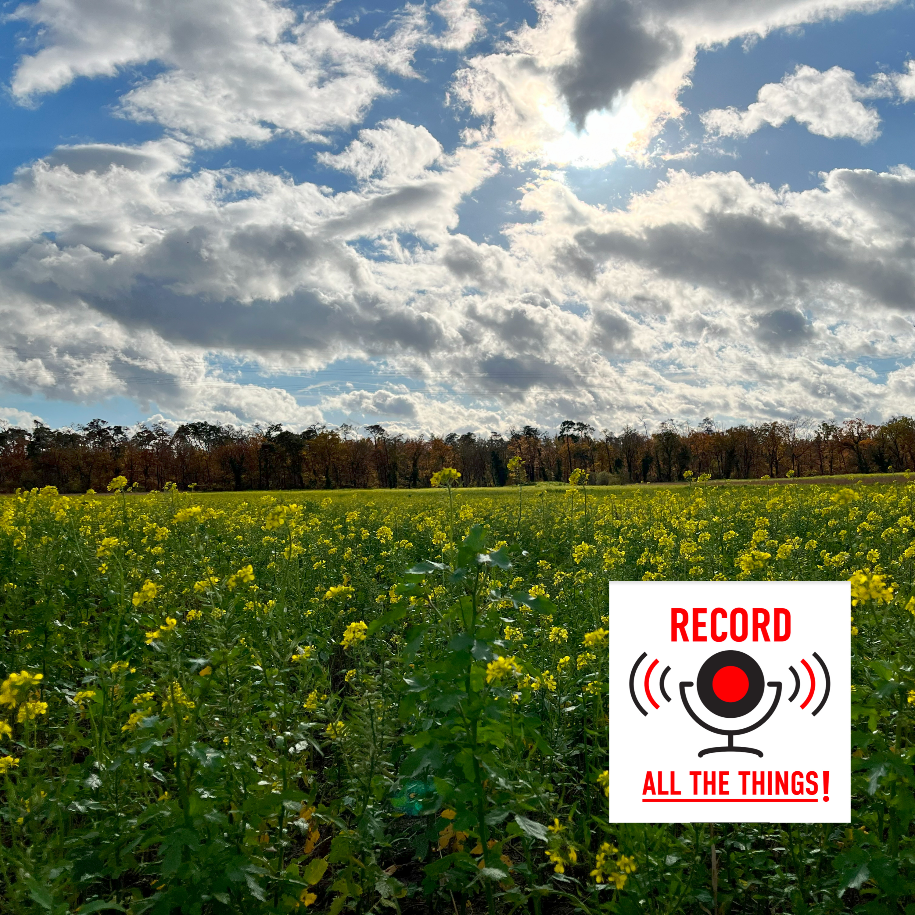 Record All The Things!