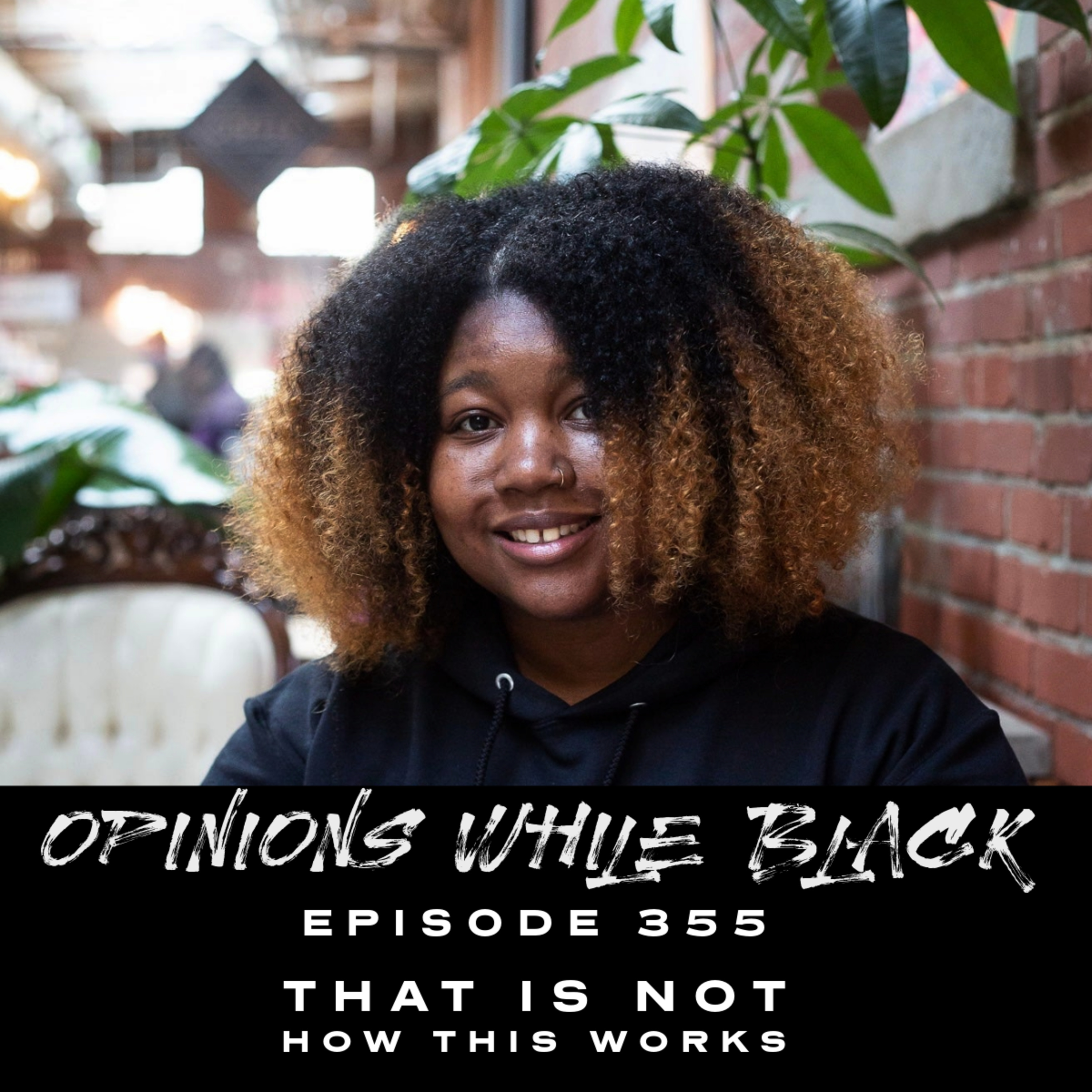 Opinions While Black: Episode 355 - "That Is Not How It Works" episode artwork