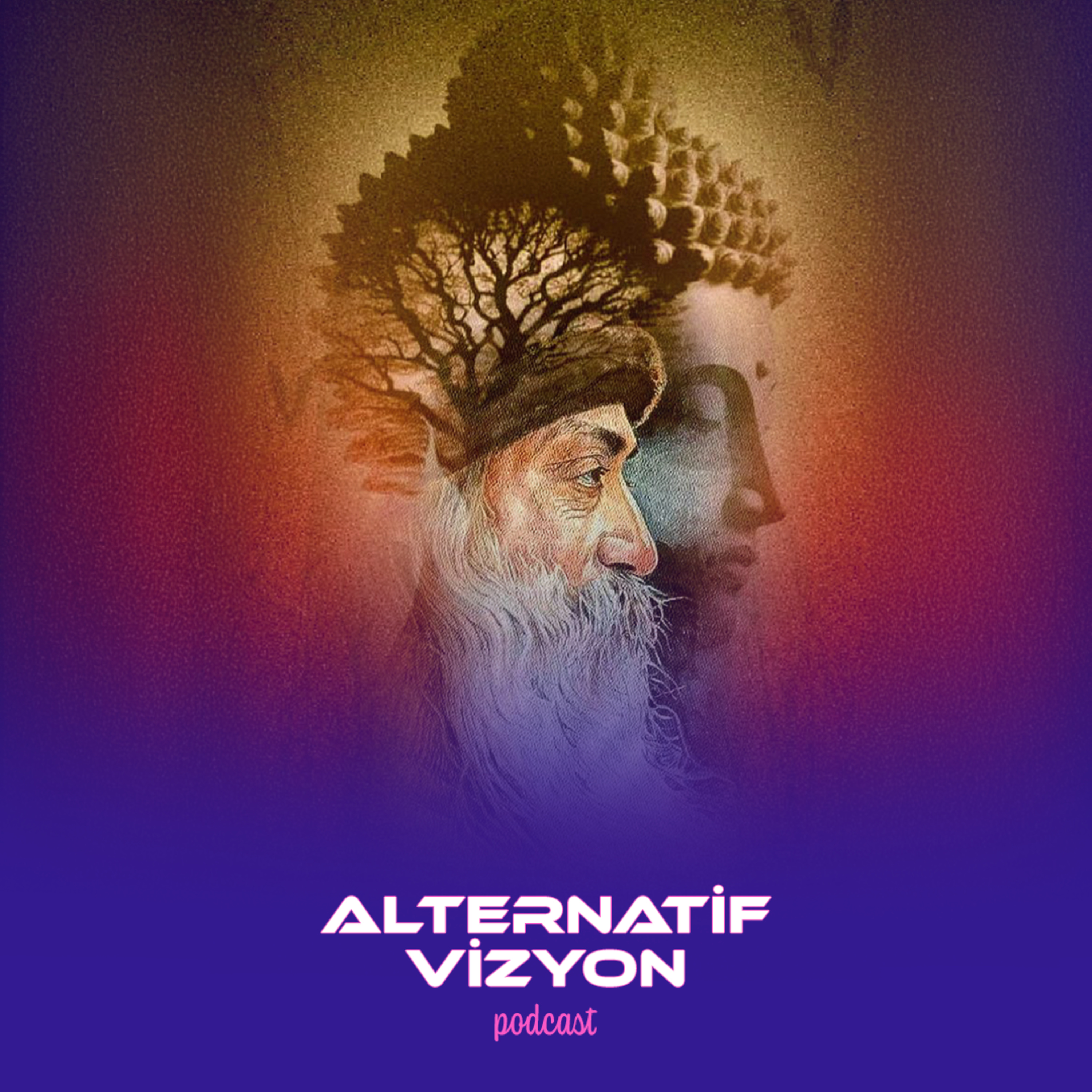 Alternatif Vizyon