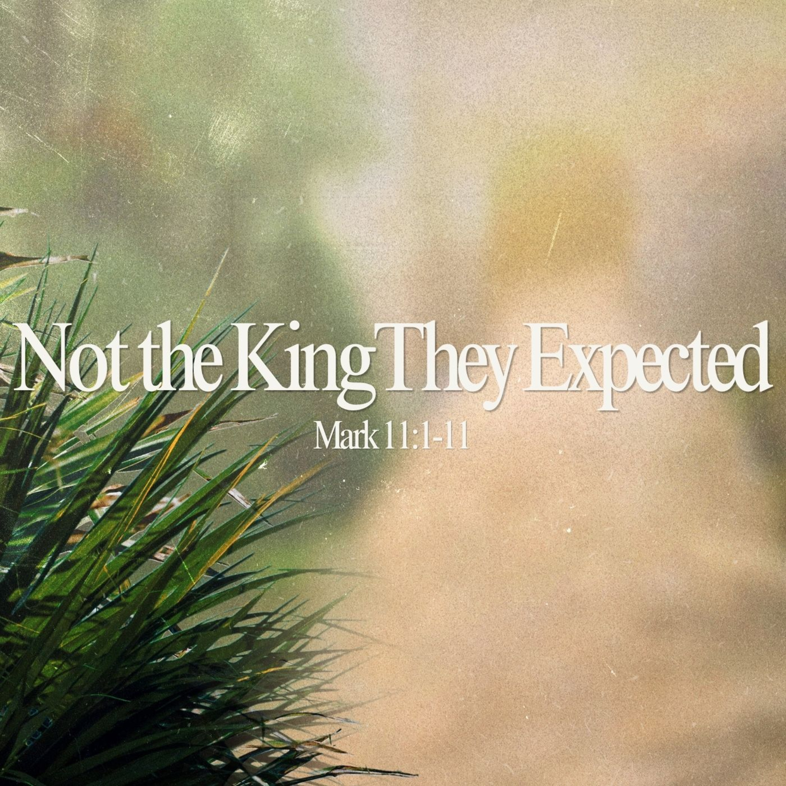 Not the King They Expected episode artwork