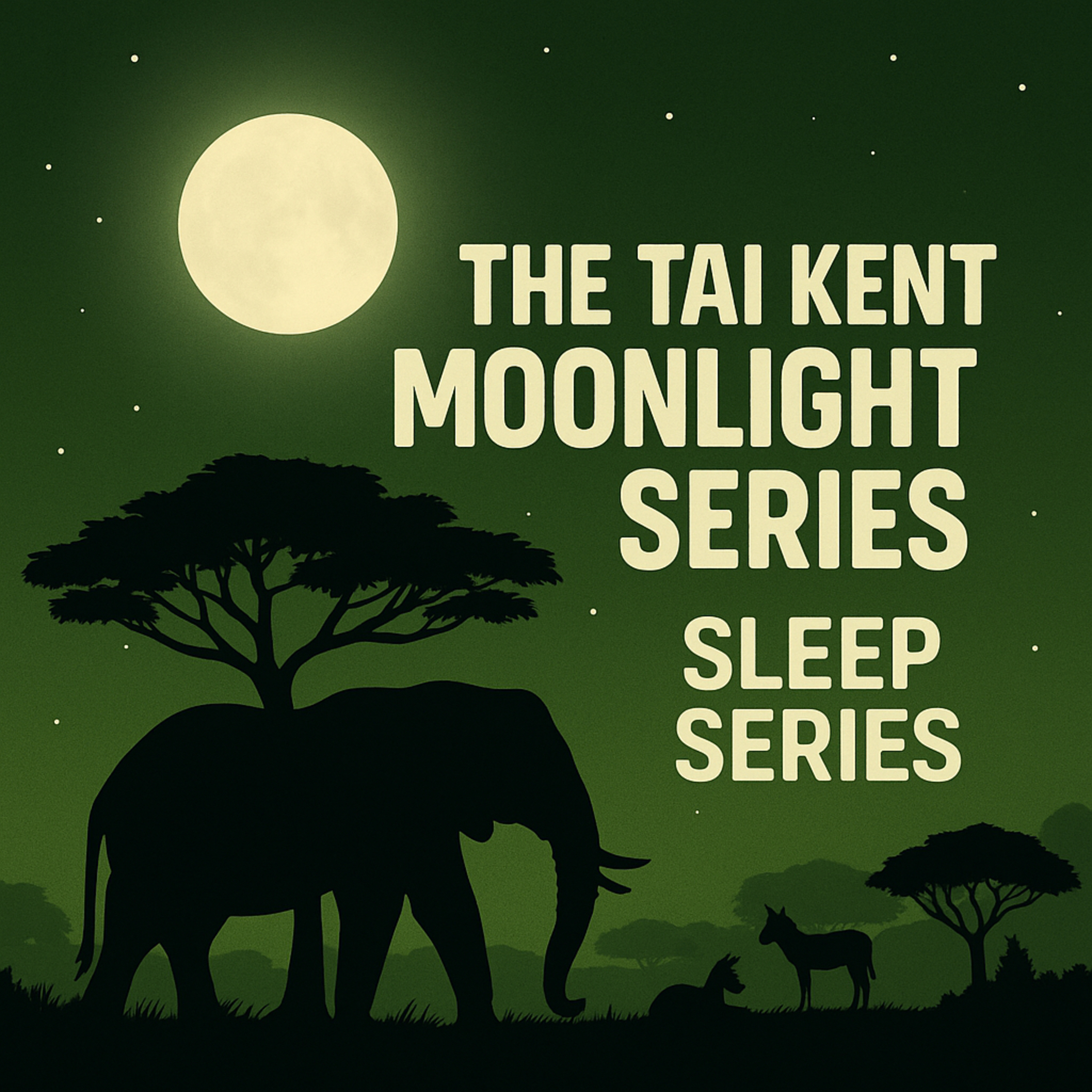 Sleep Series EP3: The Tortoise and the Feast in the Sky episode artwork
