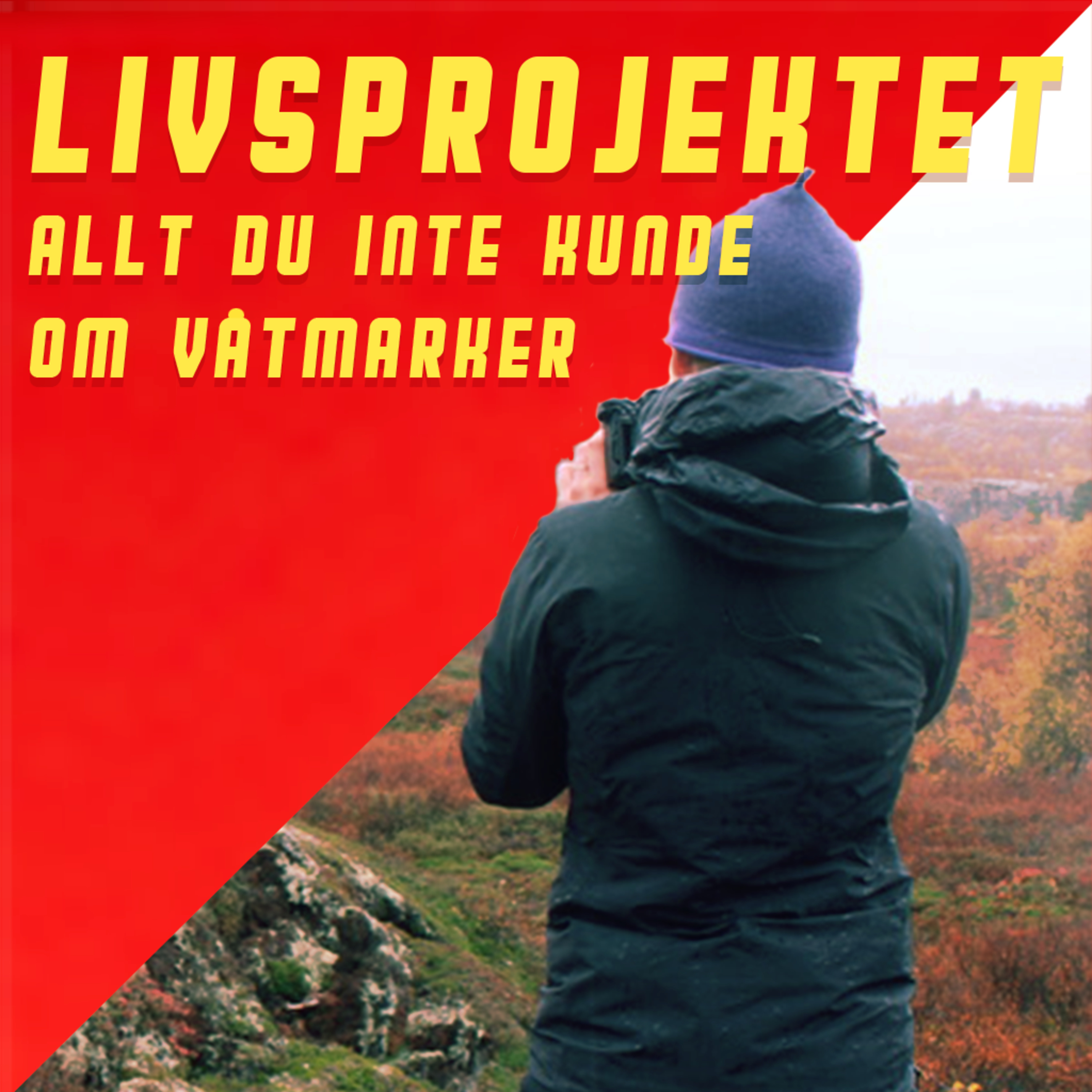 Livsprojektet