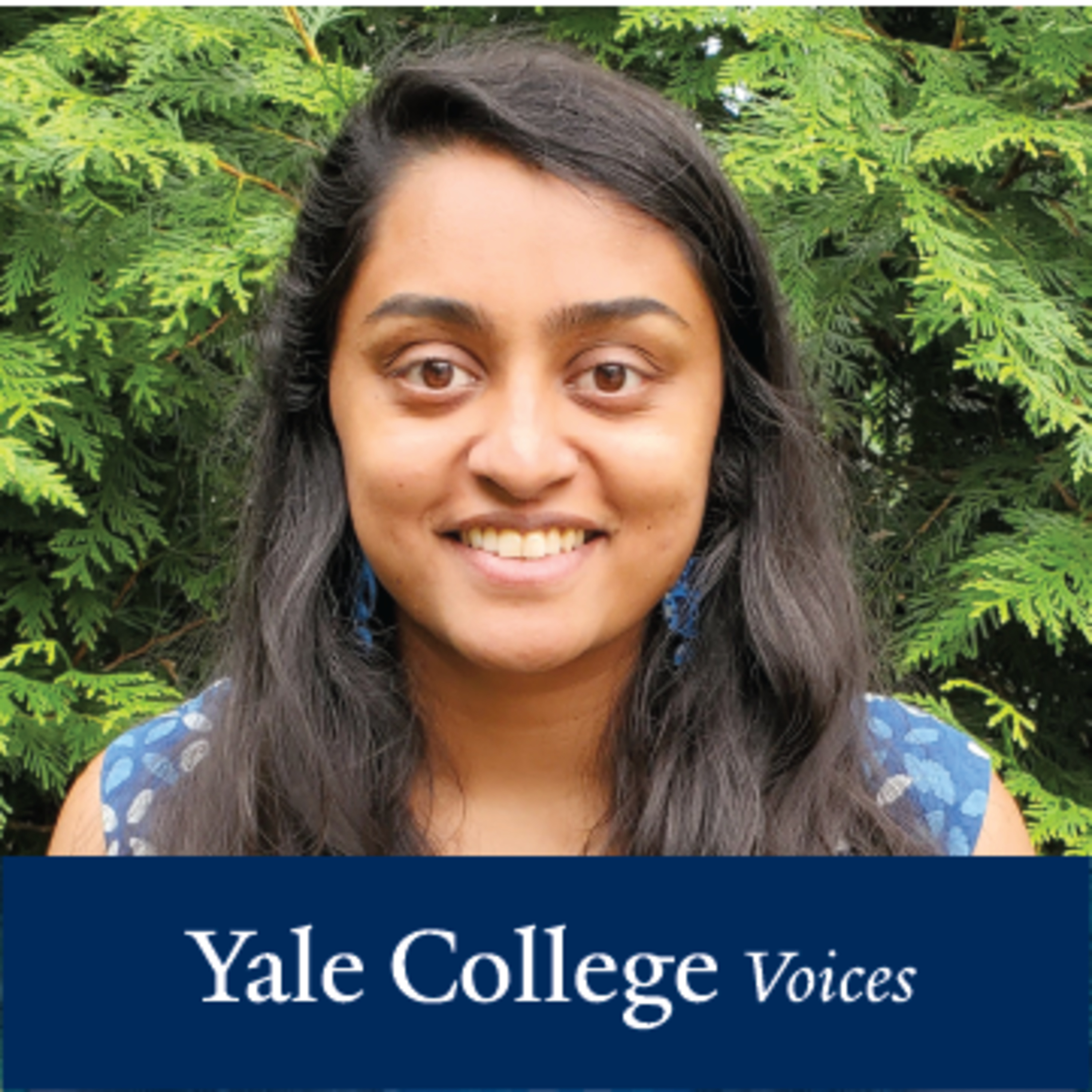 Yale College Voices: Exploring Diverse Roles and Innovative Projects of Our Staff