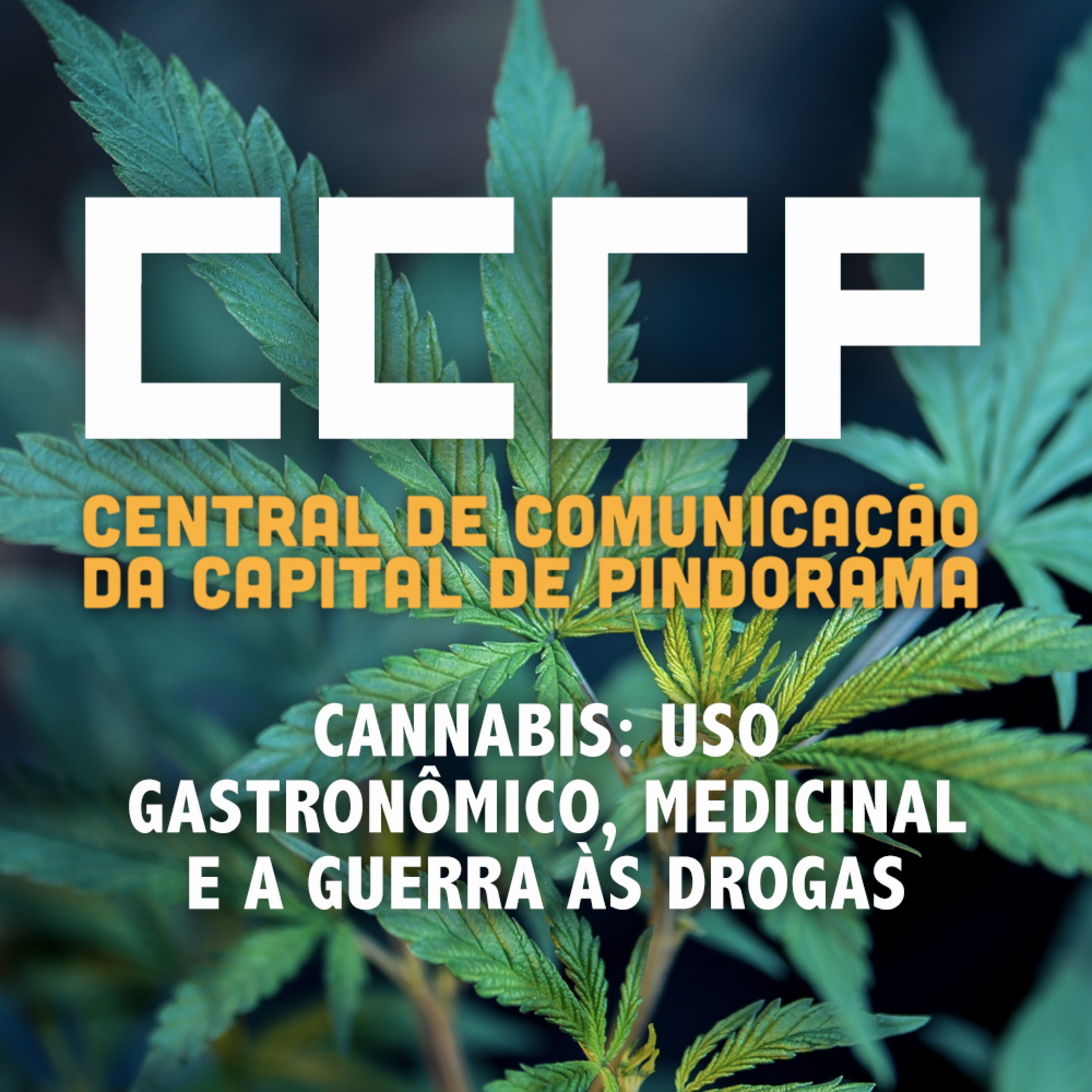 Cannabis: uso gastronômico, medicinal e a guerra às drogas com Gabi Weed e Lays Gastrogreen