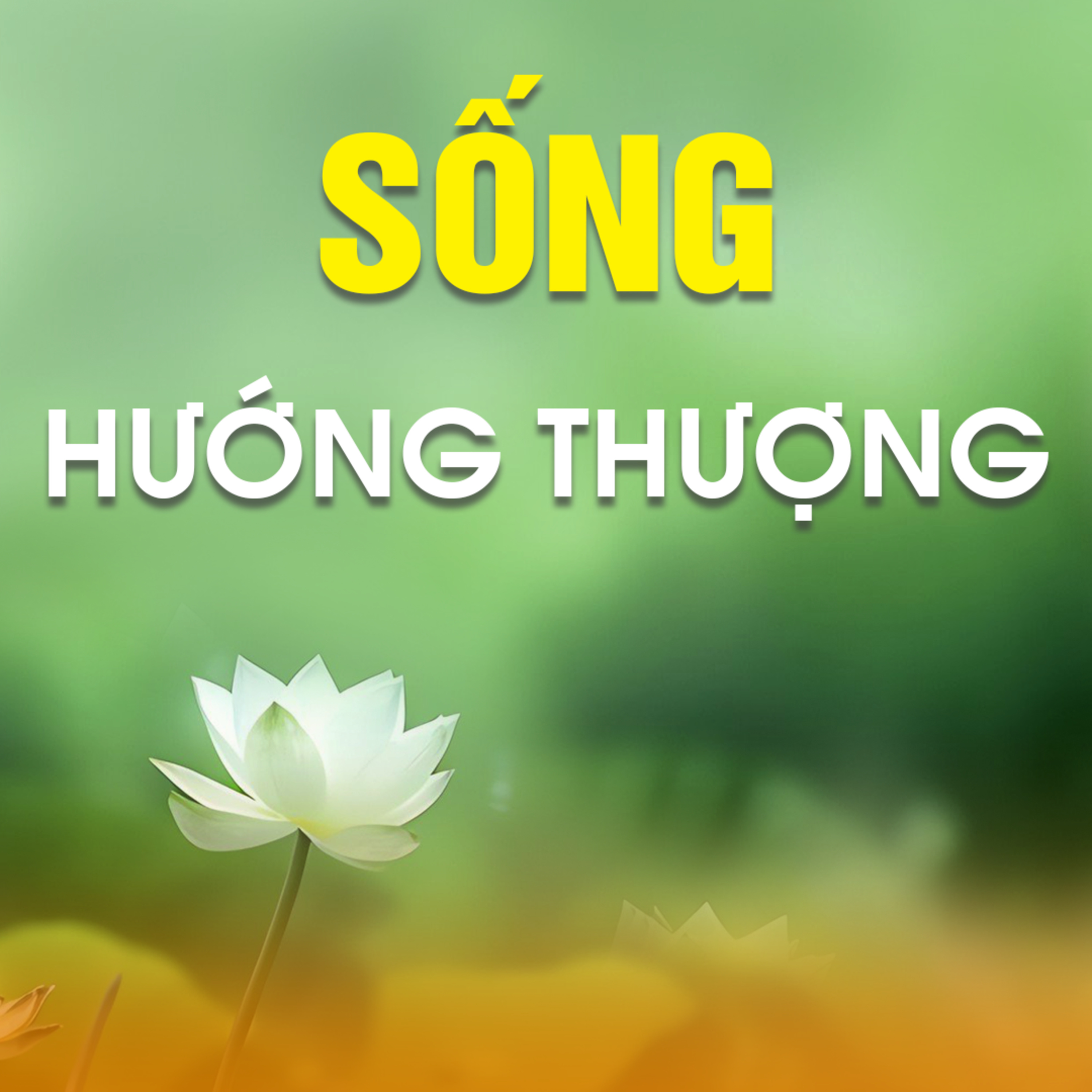SỐNG HƯỚNG THƯỢNG 