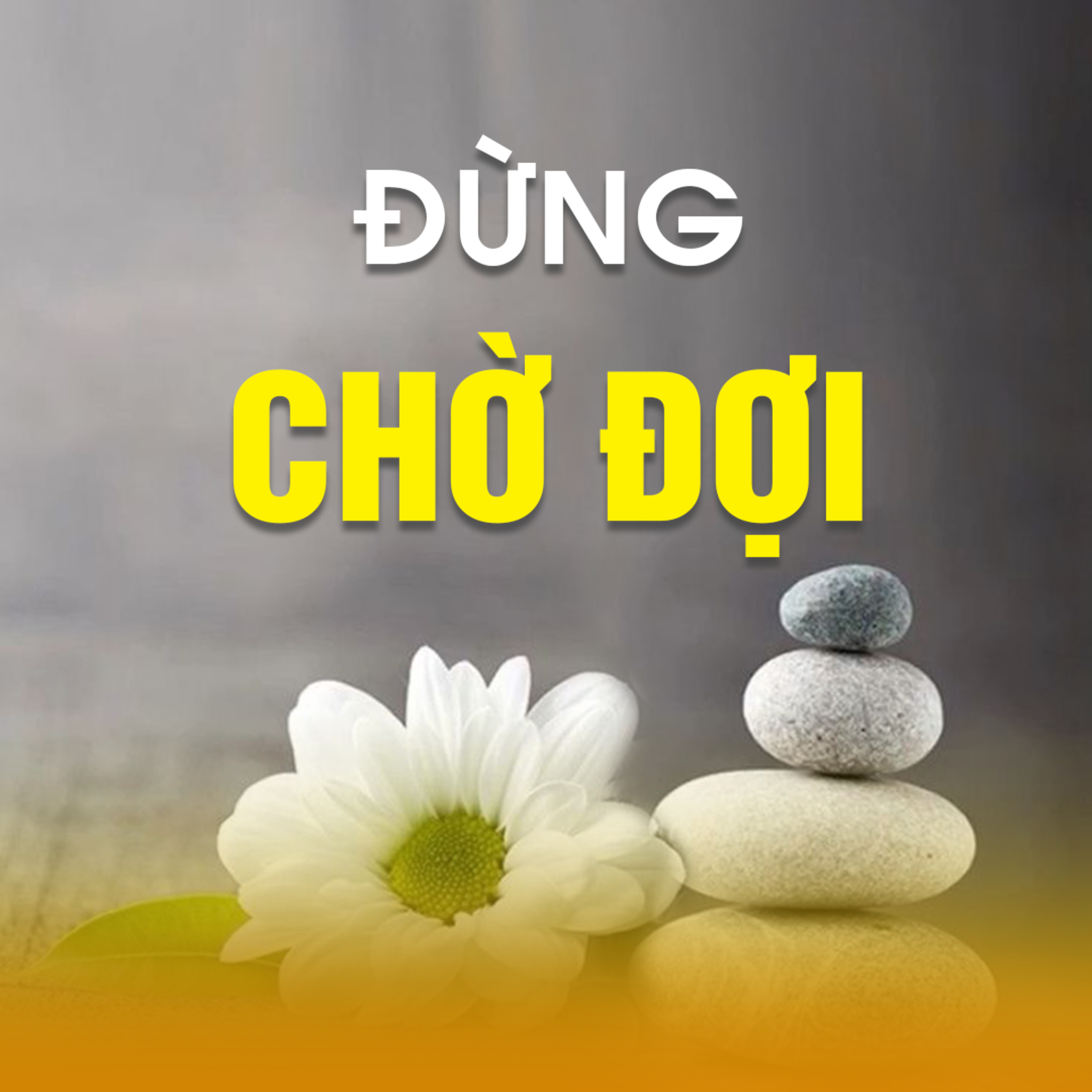 ĐỪNG CHỜ ĐỢI  episode artwork