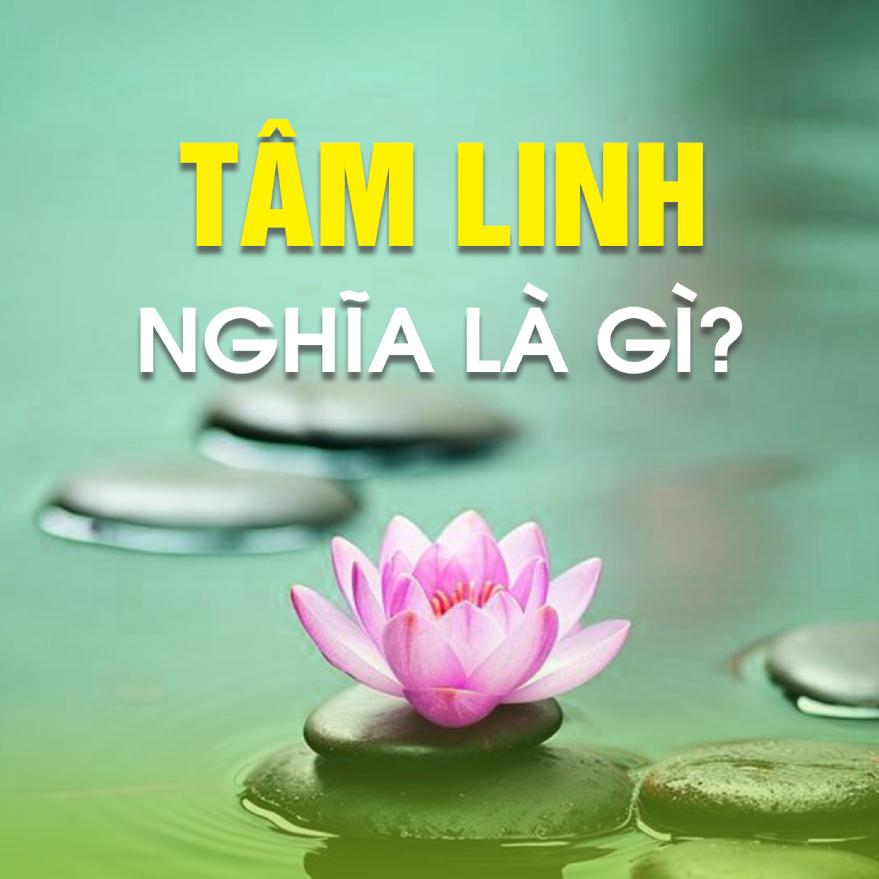 TÂM LINH NGHĨA LÀ GÌ ?  episode artwork