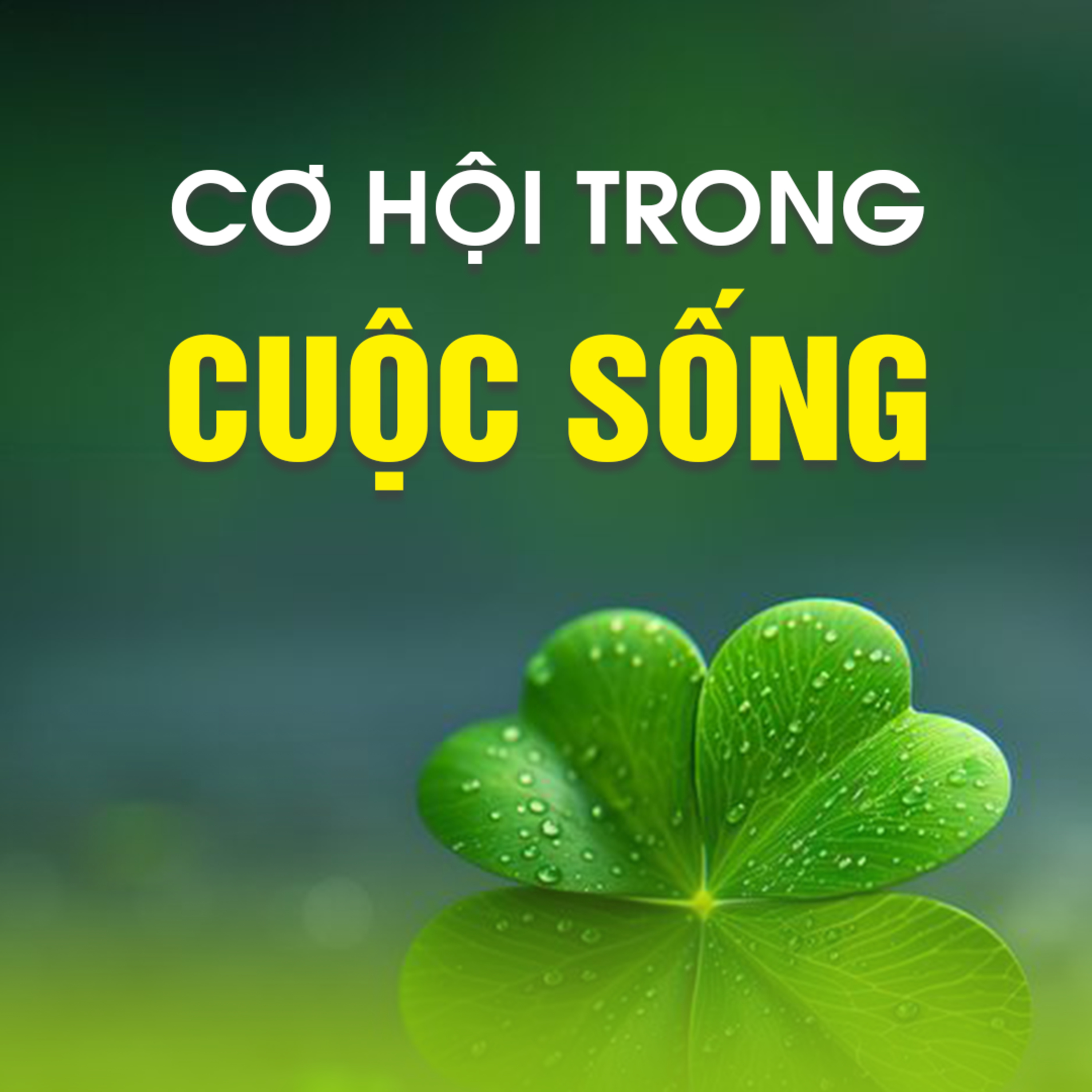 CƠ HỘI TRONG CUỘC SỐNG  episode artwork
