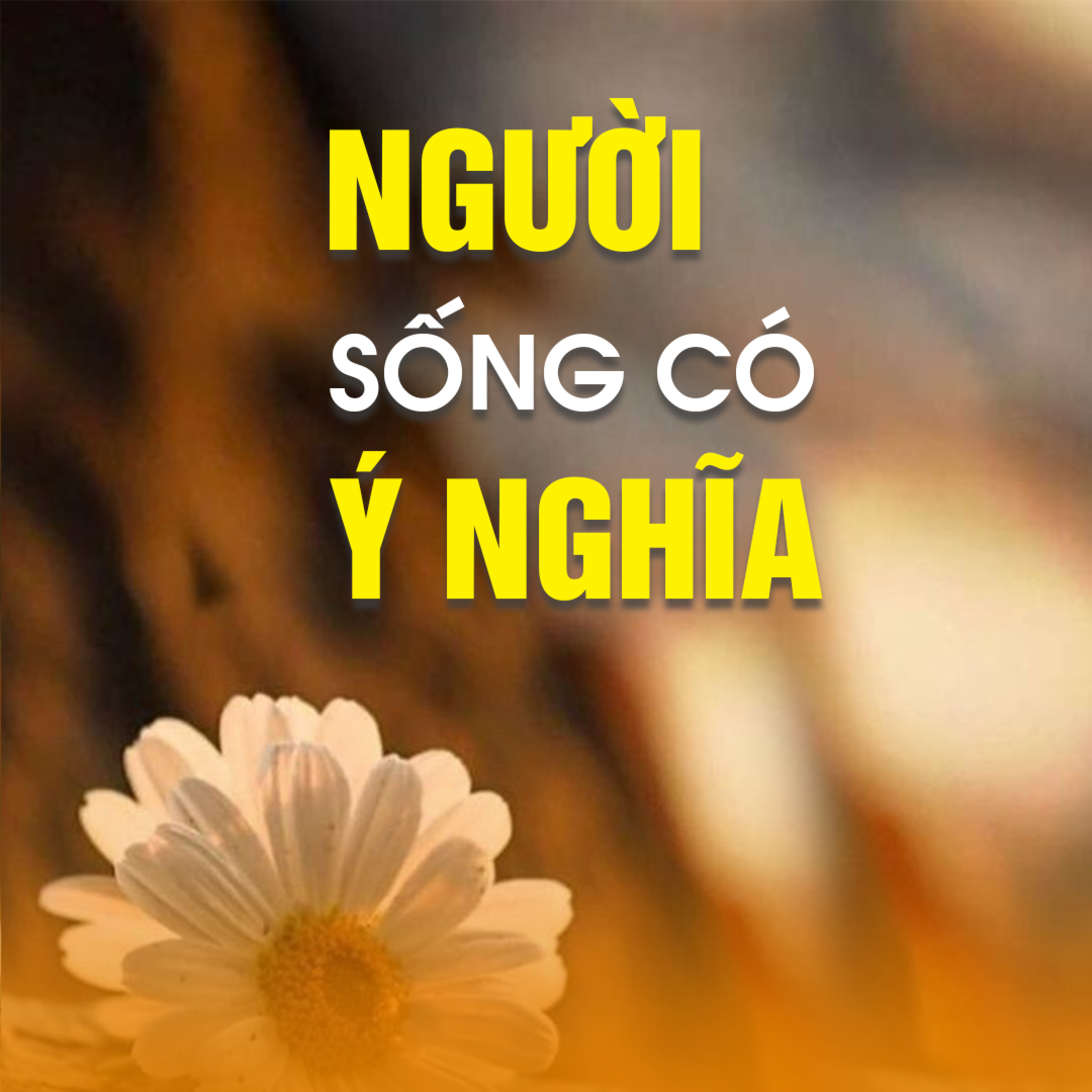 NGƯỜI SỐNG CÓ Ý NGHĨA episode artwork