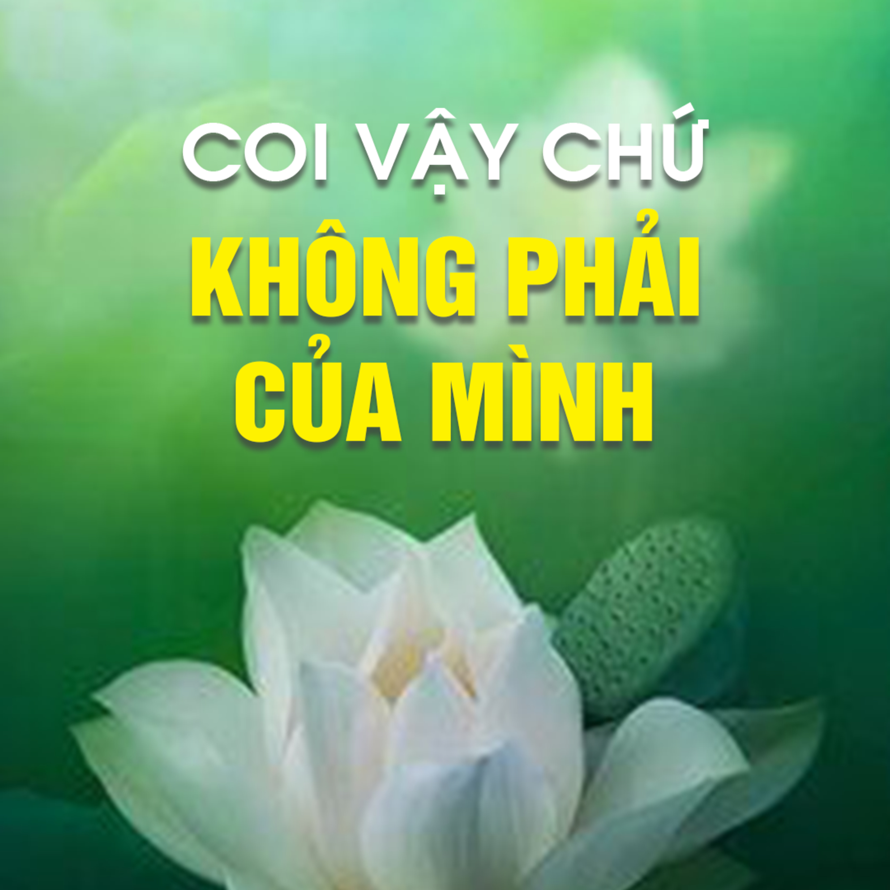 COI VẬY CHỨ KHÔNG PHẢI CỦA MÌNH B
