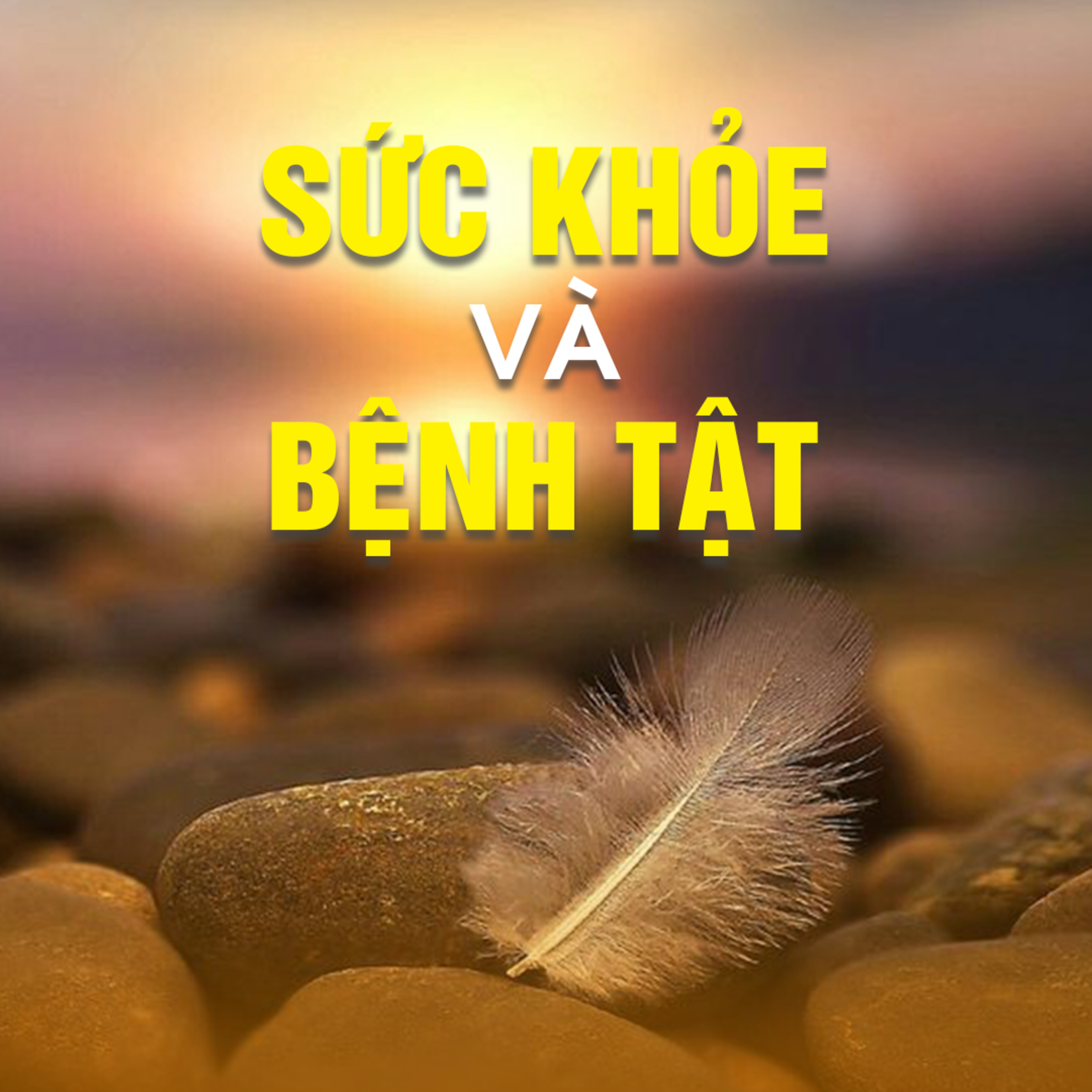 SỨC KHOẺ VÀ BỆNH TẬT B episode artwork