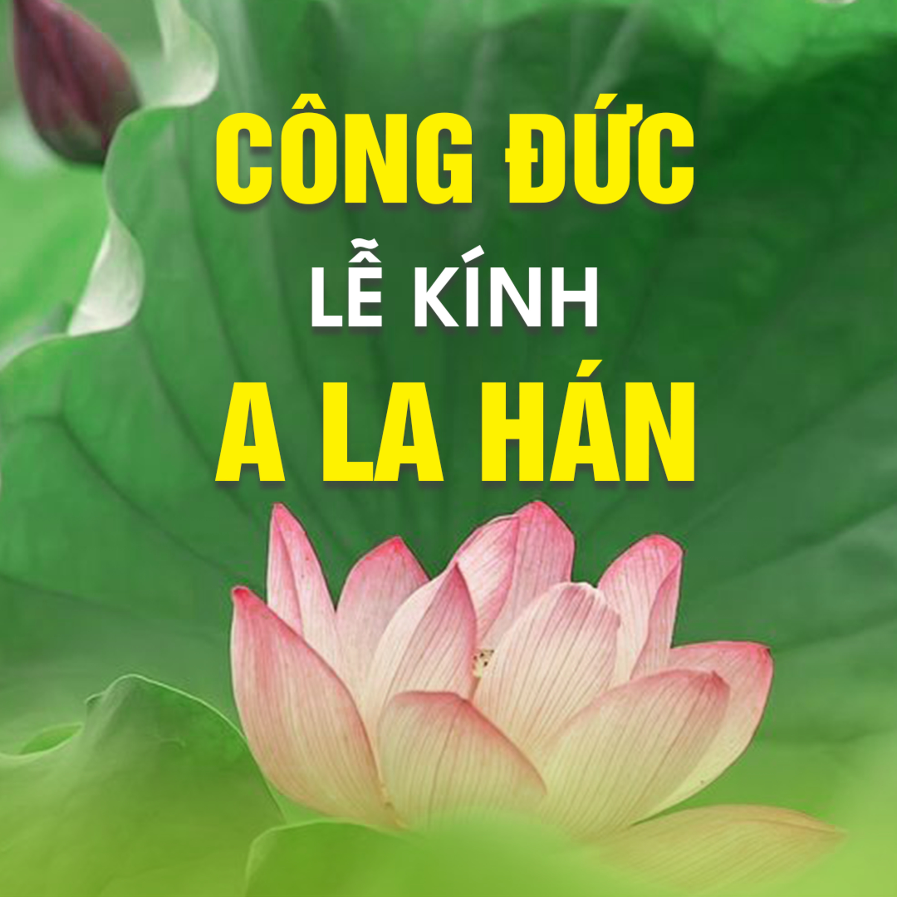 CÔNG ĐỨC LỄ KÍNH A LA HÁN - Thánh Độ Mệnh  episode artwork