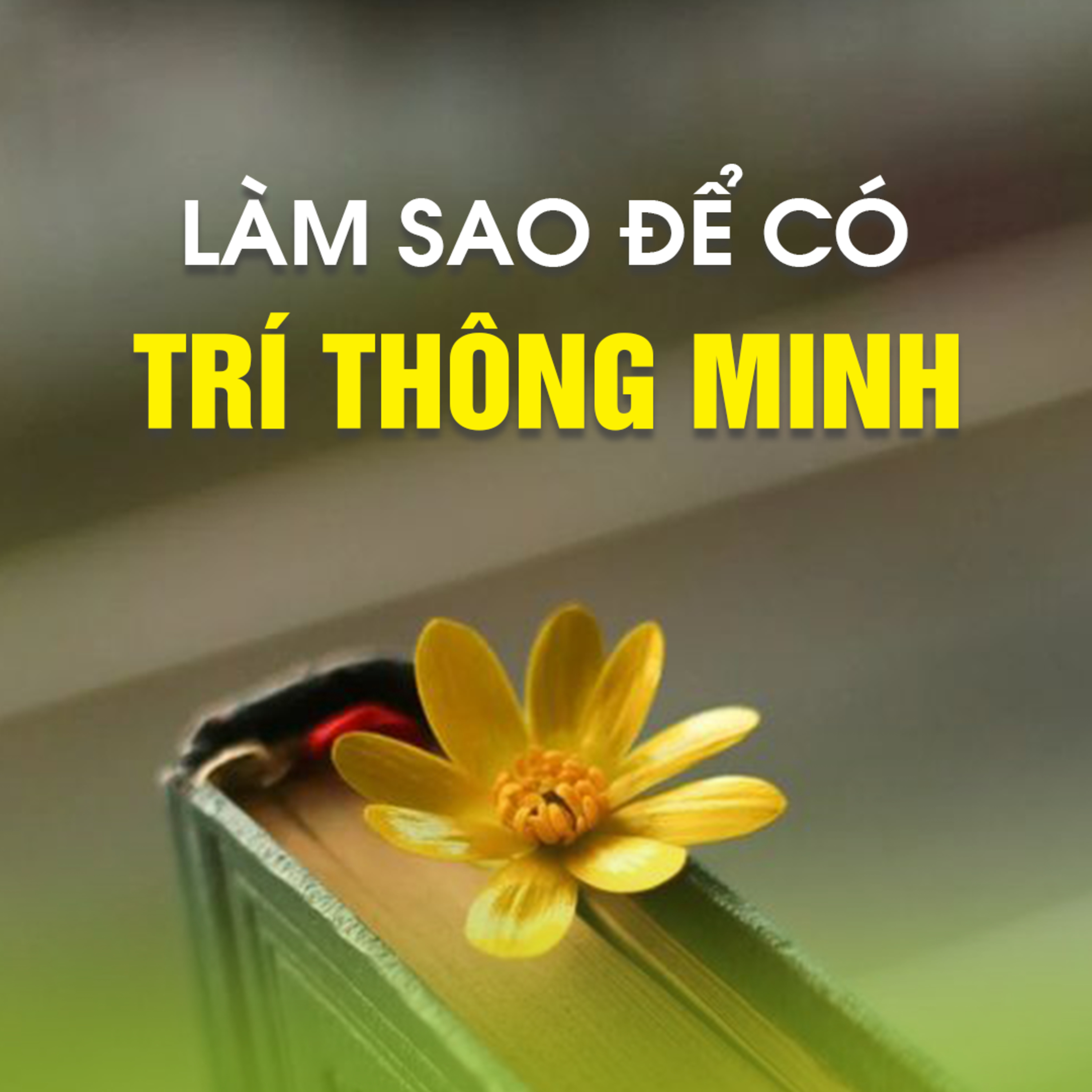 LÀM SAO ĐỂ CÓ TRÍ THÔNG MINH 