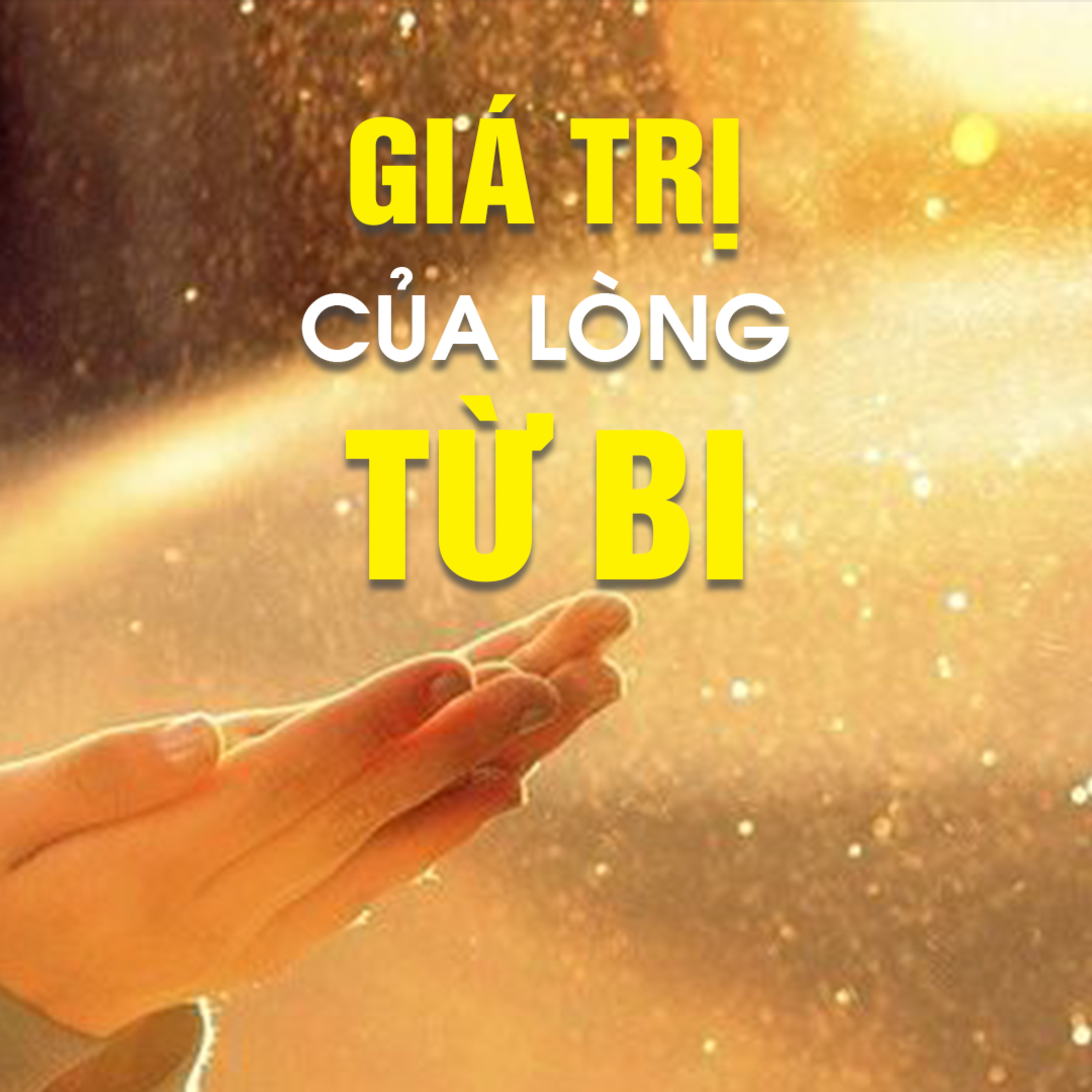 GIÁ TRỊ CỦA LÒNG TỪ BI  episode artwork