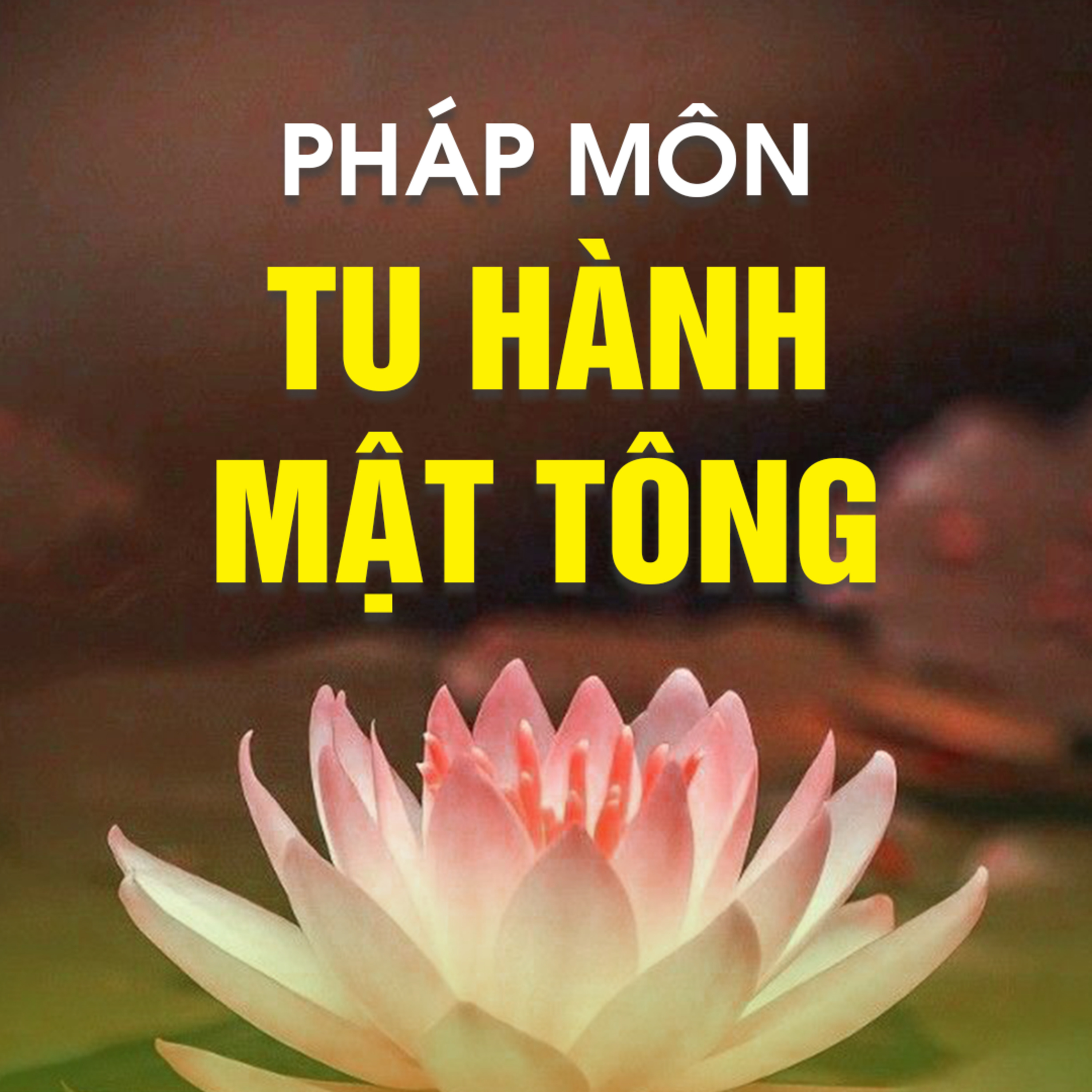 PHÁP MÔN TU HÀNH MẬT TÔNG B episode artwork